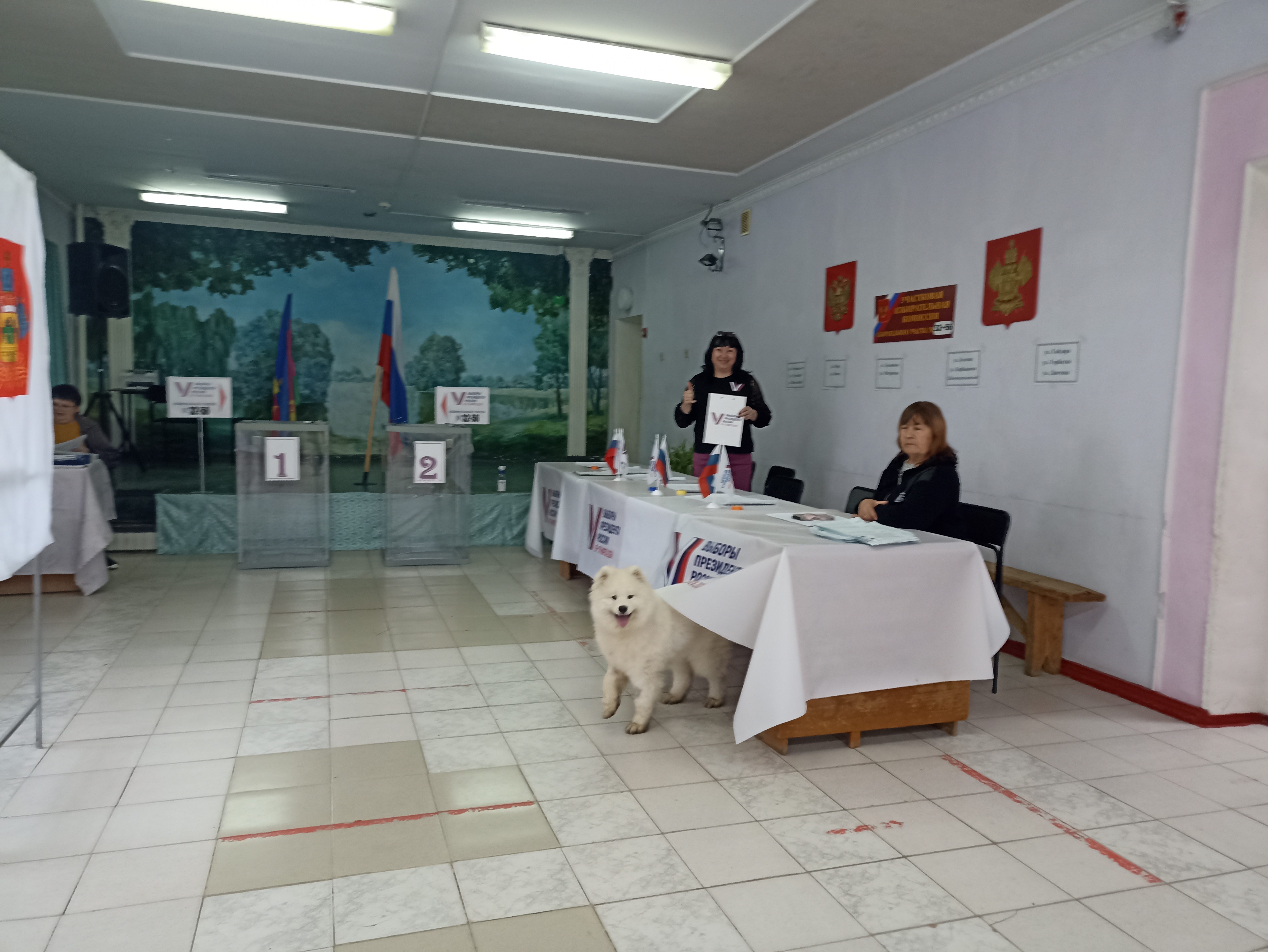 Сообщение наблюдателя — УИК №3256, Краснодарский край