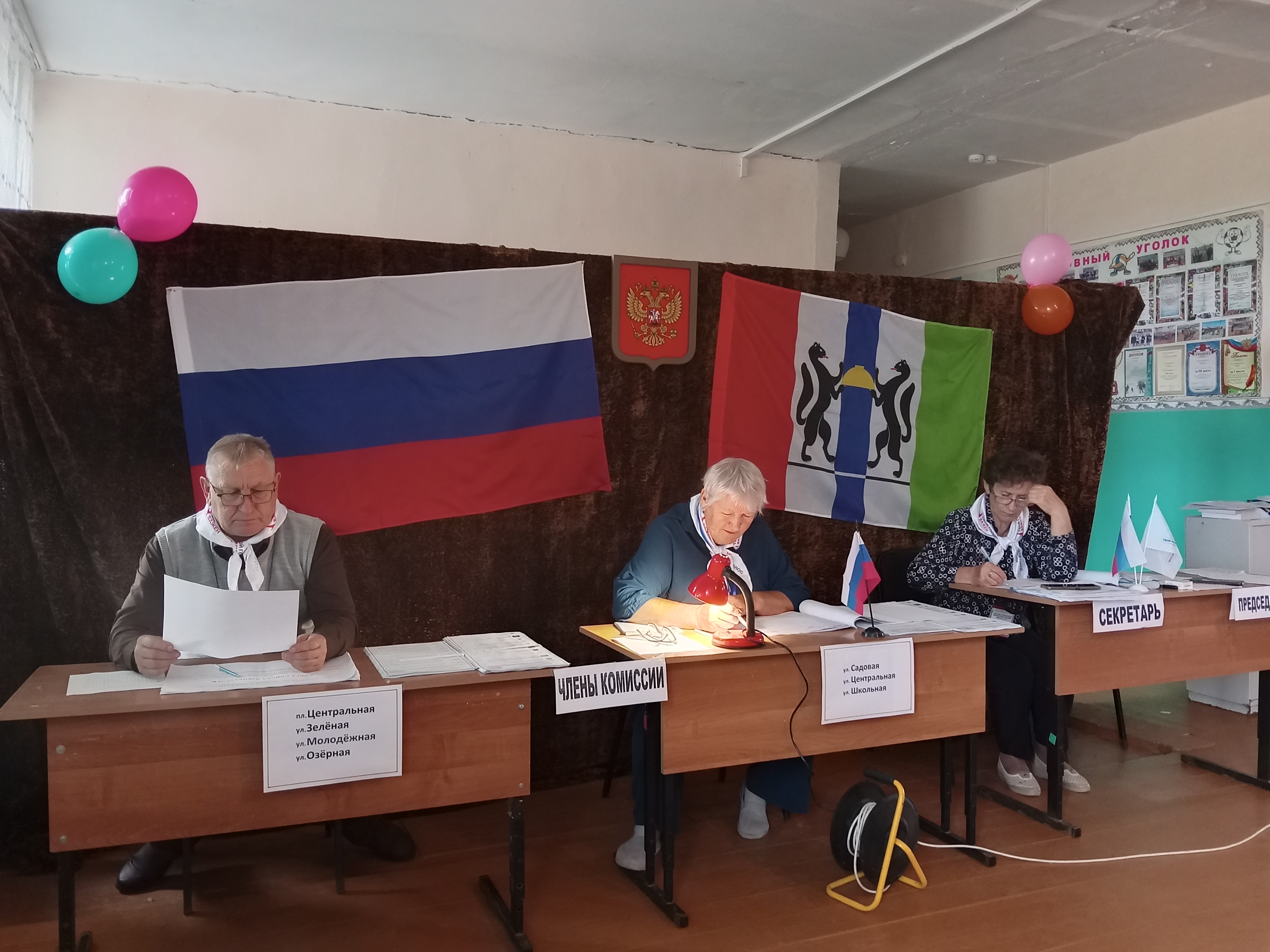 Сообщение — УИК №985, Новосибирская область