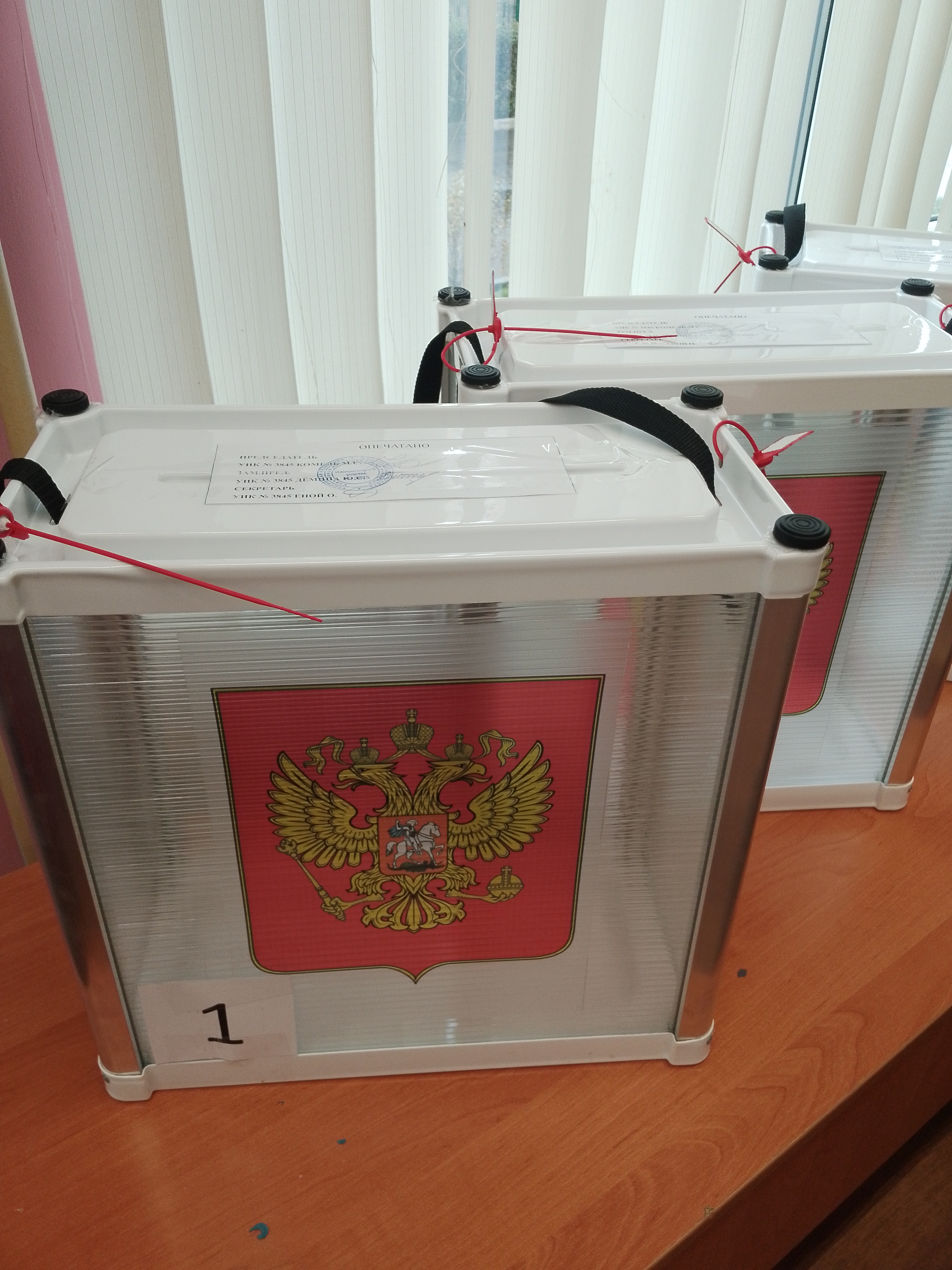 Сообщение — УИК №3845, Московская область