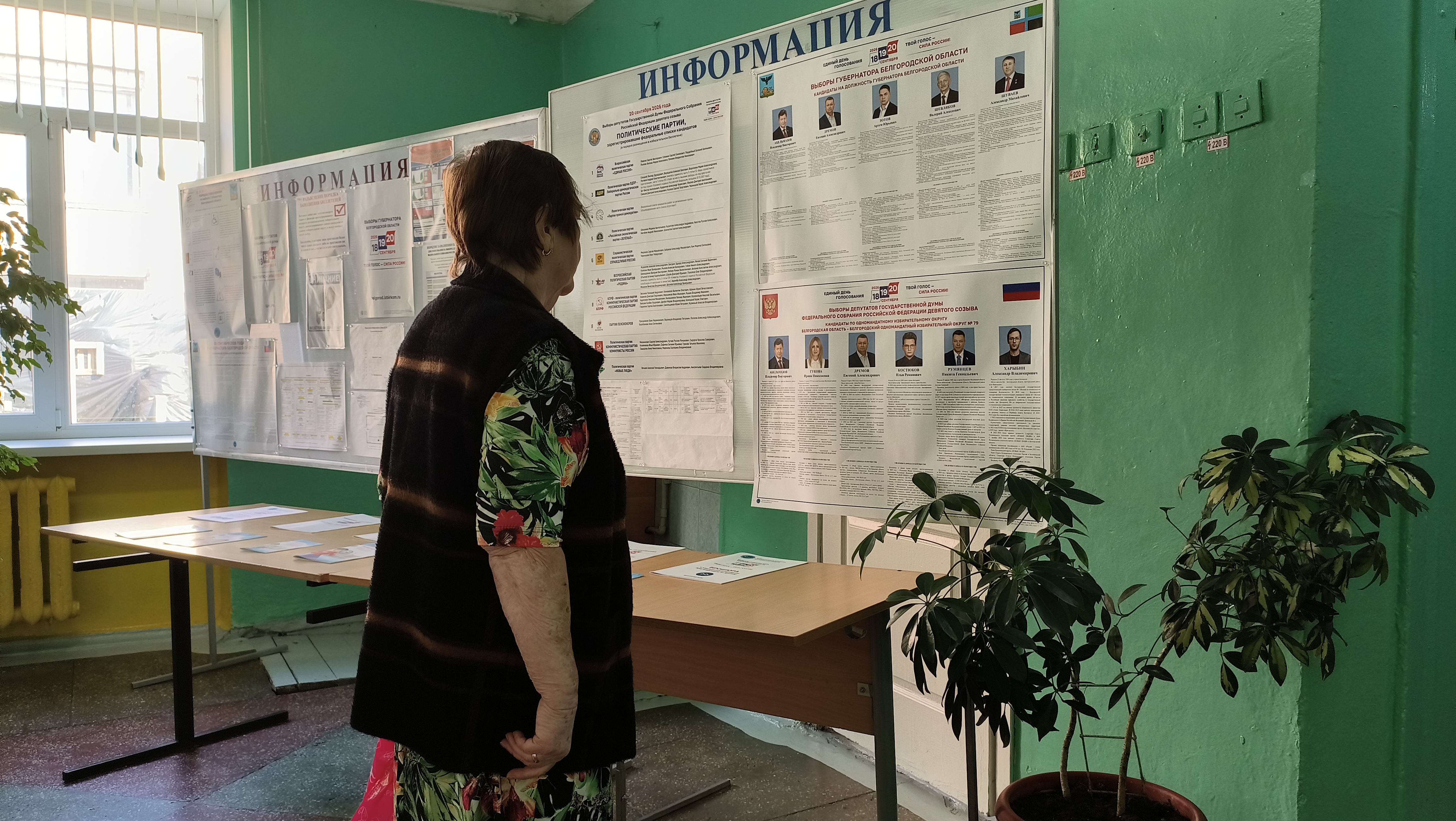 Сообщение — УИК №214, Белгородская область