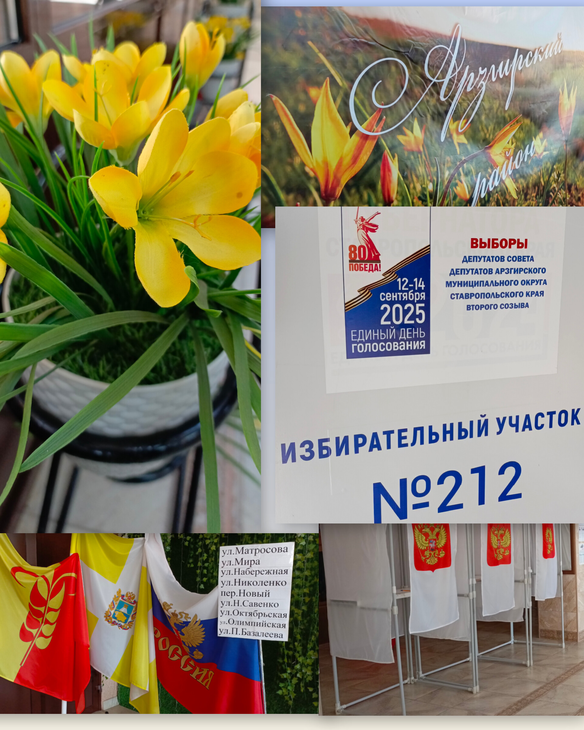Сообщение наблюдателя — УИК №212, Ставропольский край