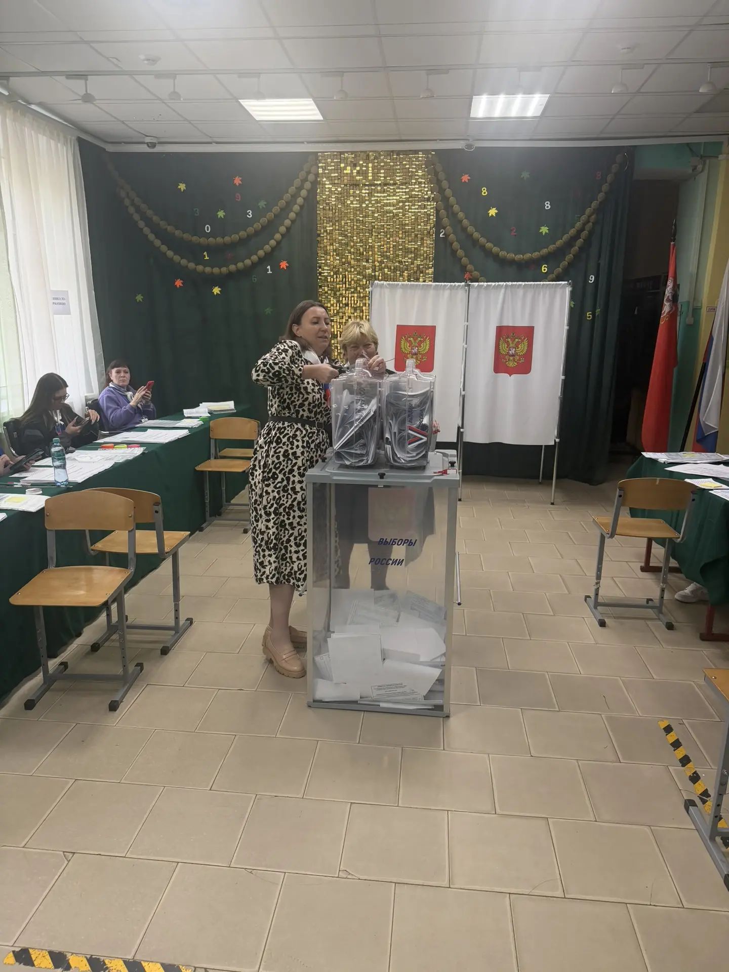 Сообщение — УИК №1231, Московская область