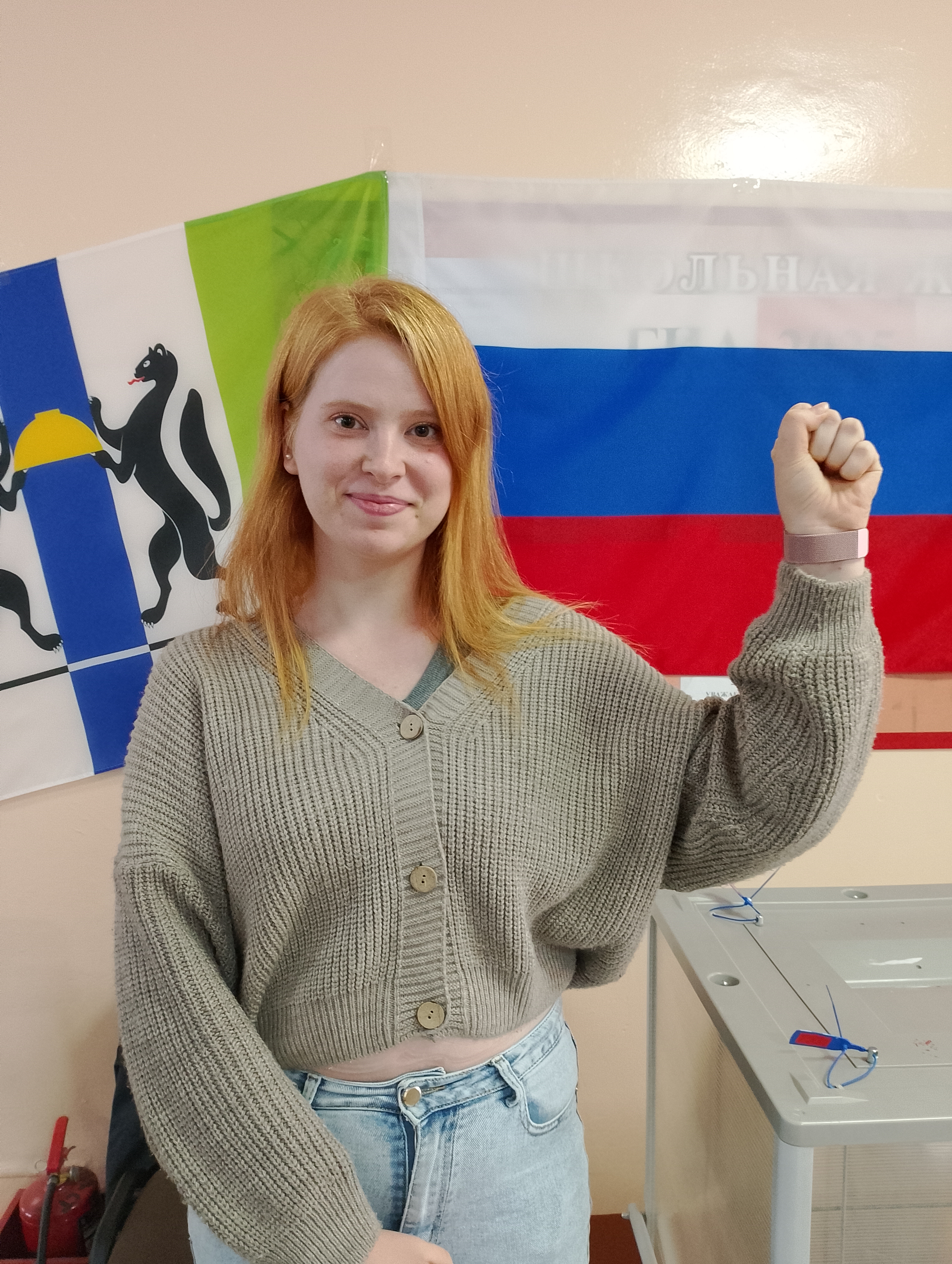Сообщение наблюдателя — УИК №1480, Новосибирская область