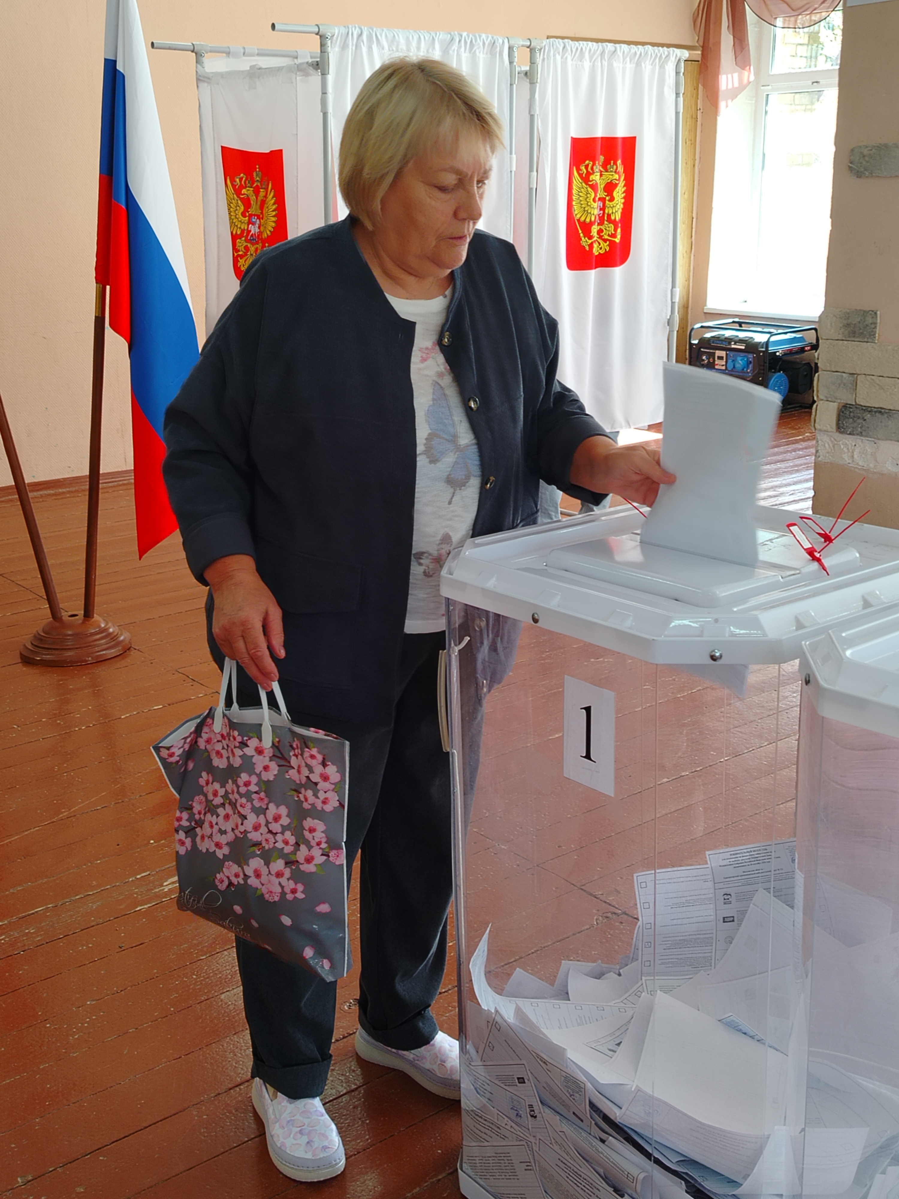 Сообщение — УИК №3376, Московская область