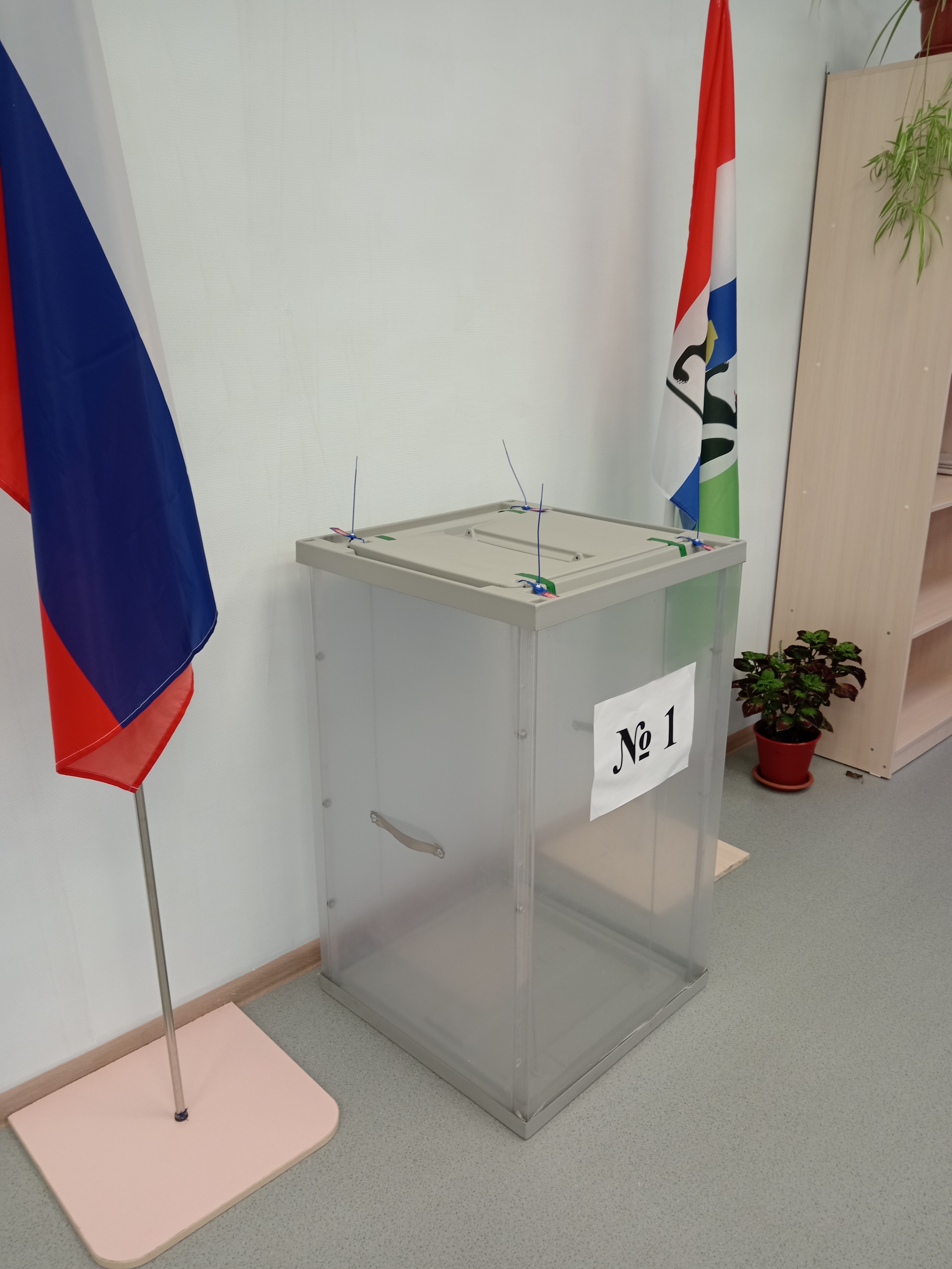 Сообщение наблюдателя — УИК №1300, Новосибирская область