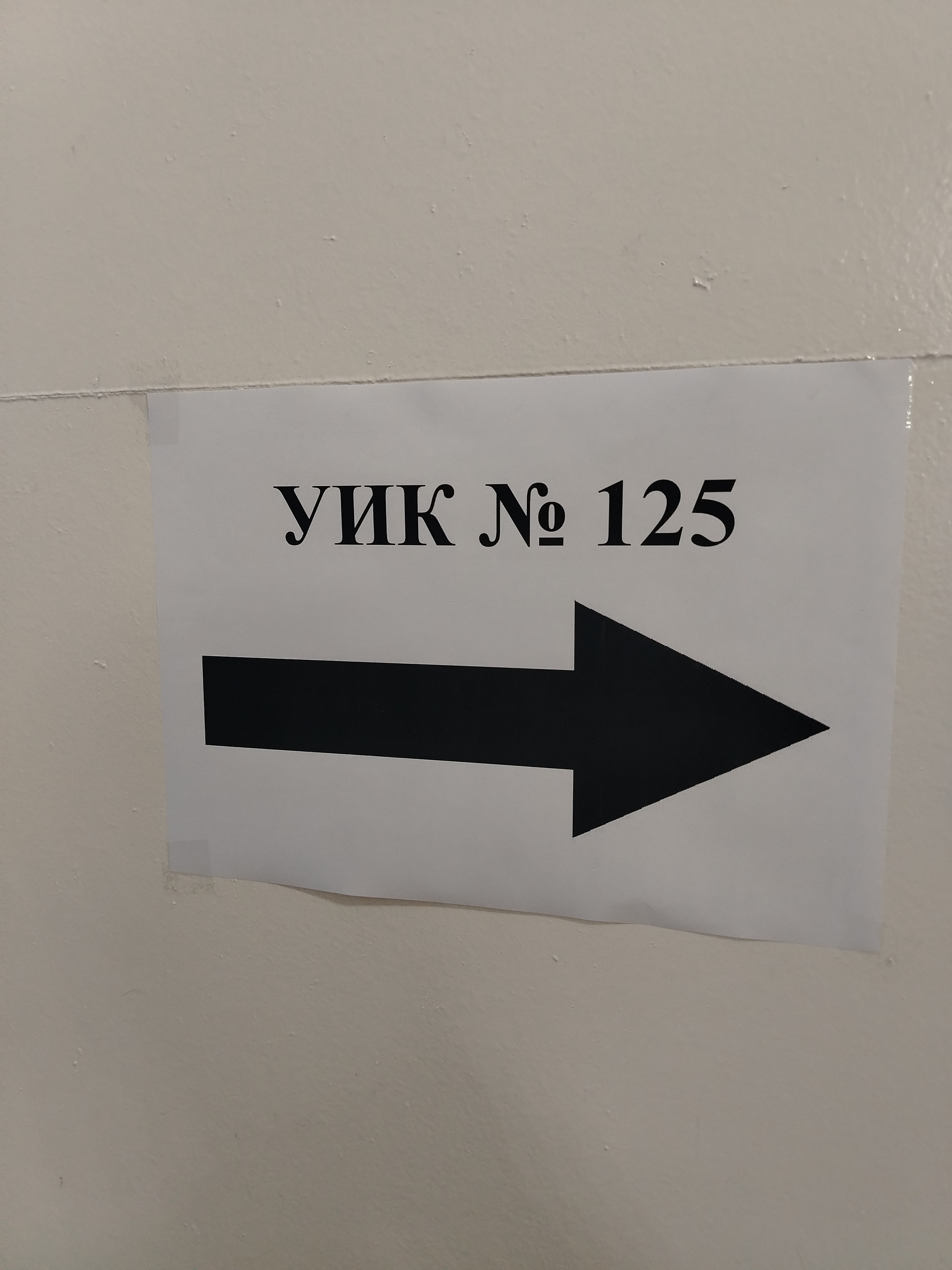Сообщение — УИК №125, Пензенская область