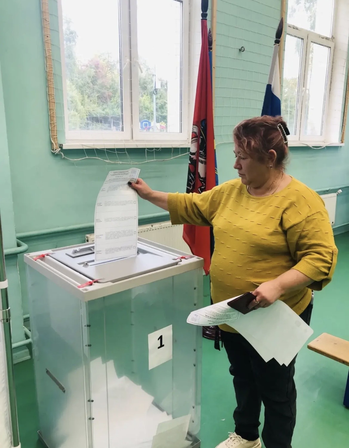 Сообщение — УИК №3628, Московская область