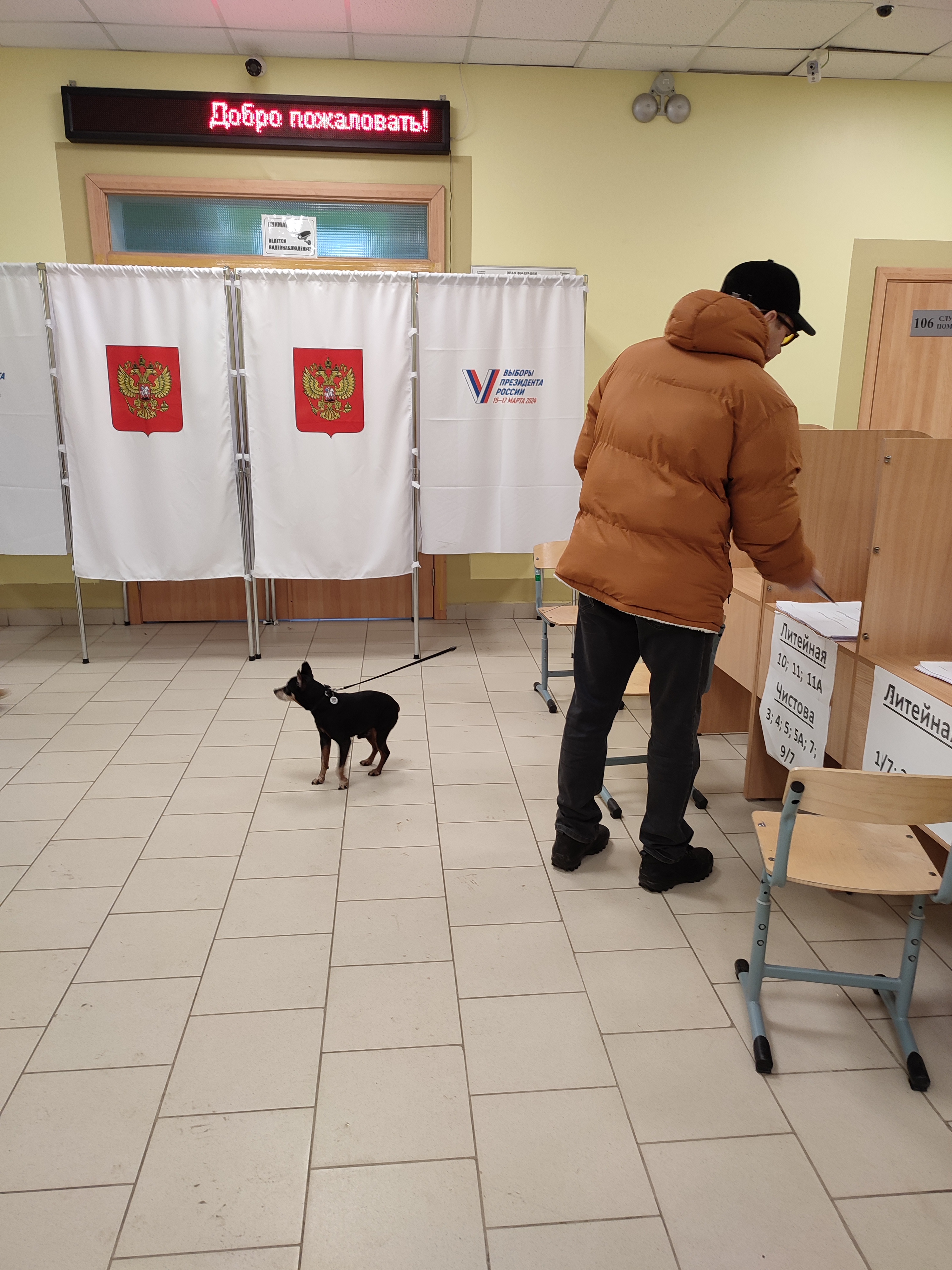 Сообщение наблюдателя — УИК №2339, Московская область
