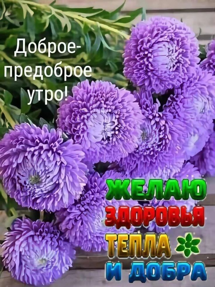 Сообщение — УИК №166, Московская область