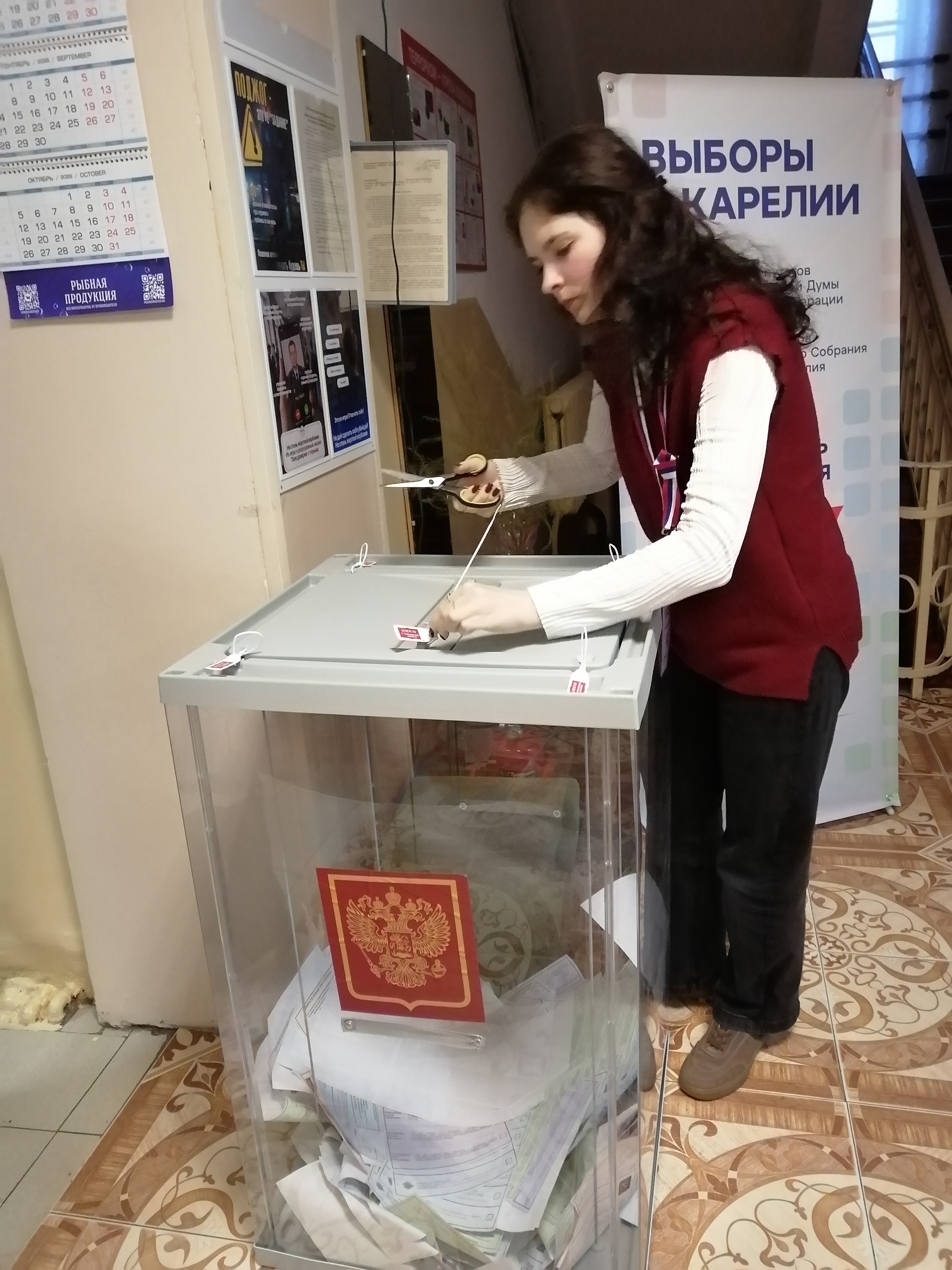 Сообщение — УИК №532, Республика Карелия
