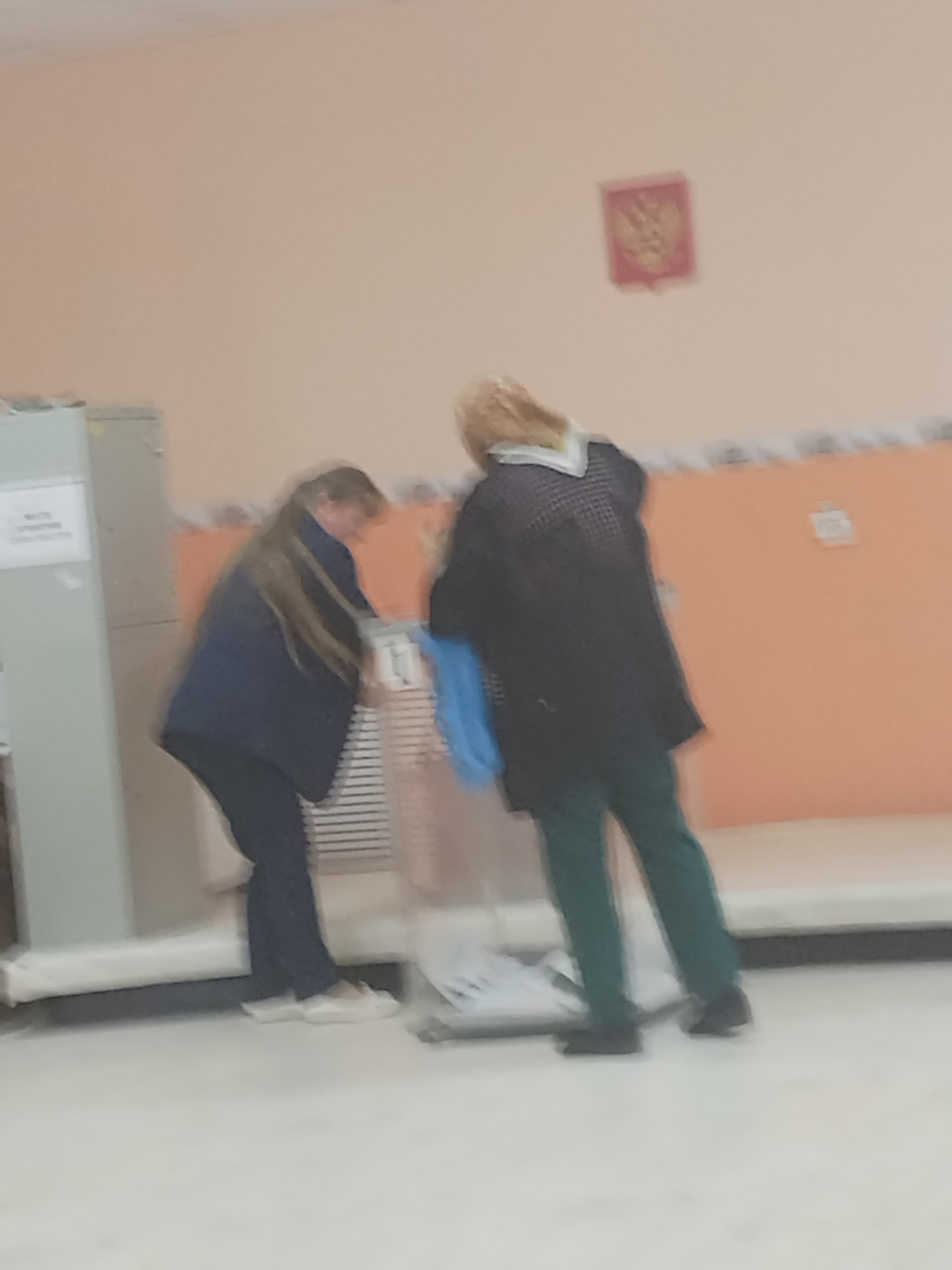 Сообщение — УИК №1106, Ростовская область