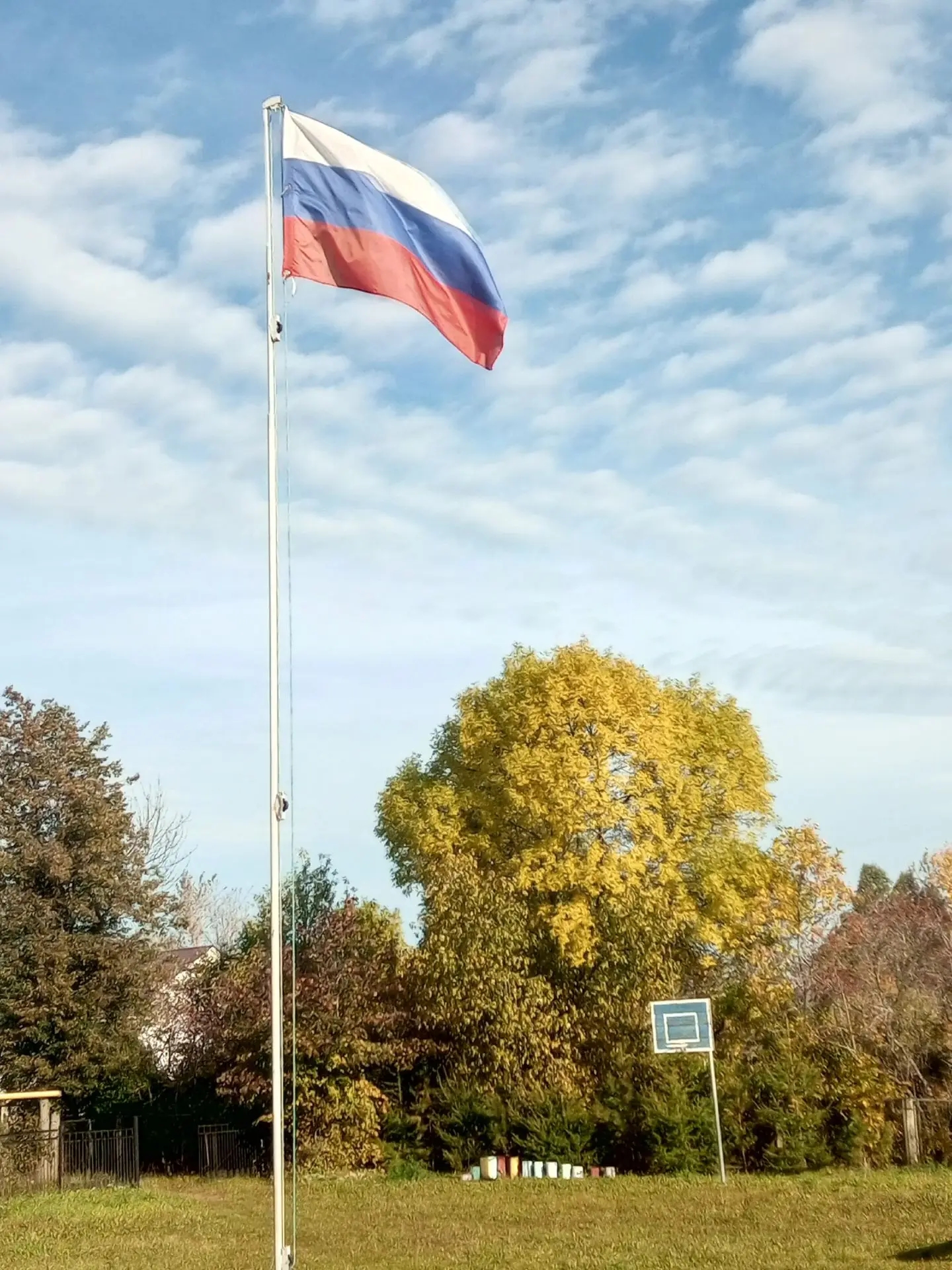 Сообщение — УИК №1019, Удмуртская Республика