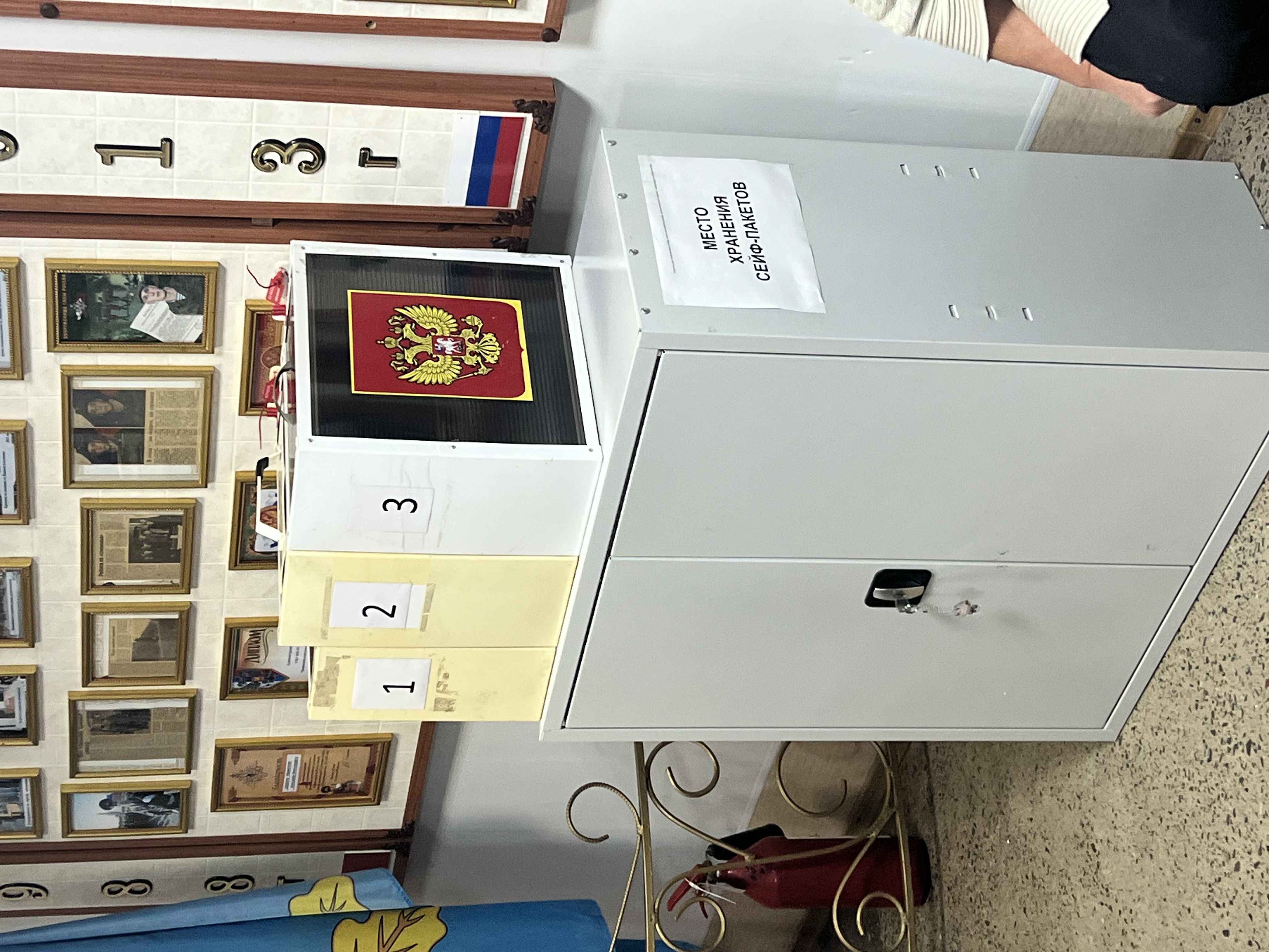 Сообщение — УИК №3802, Воронежская область