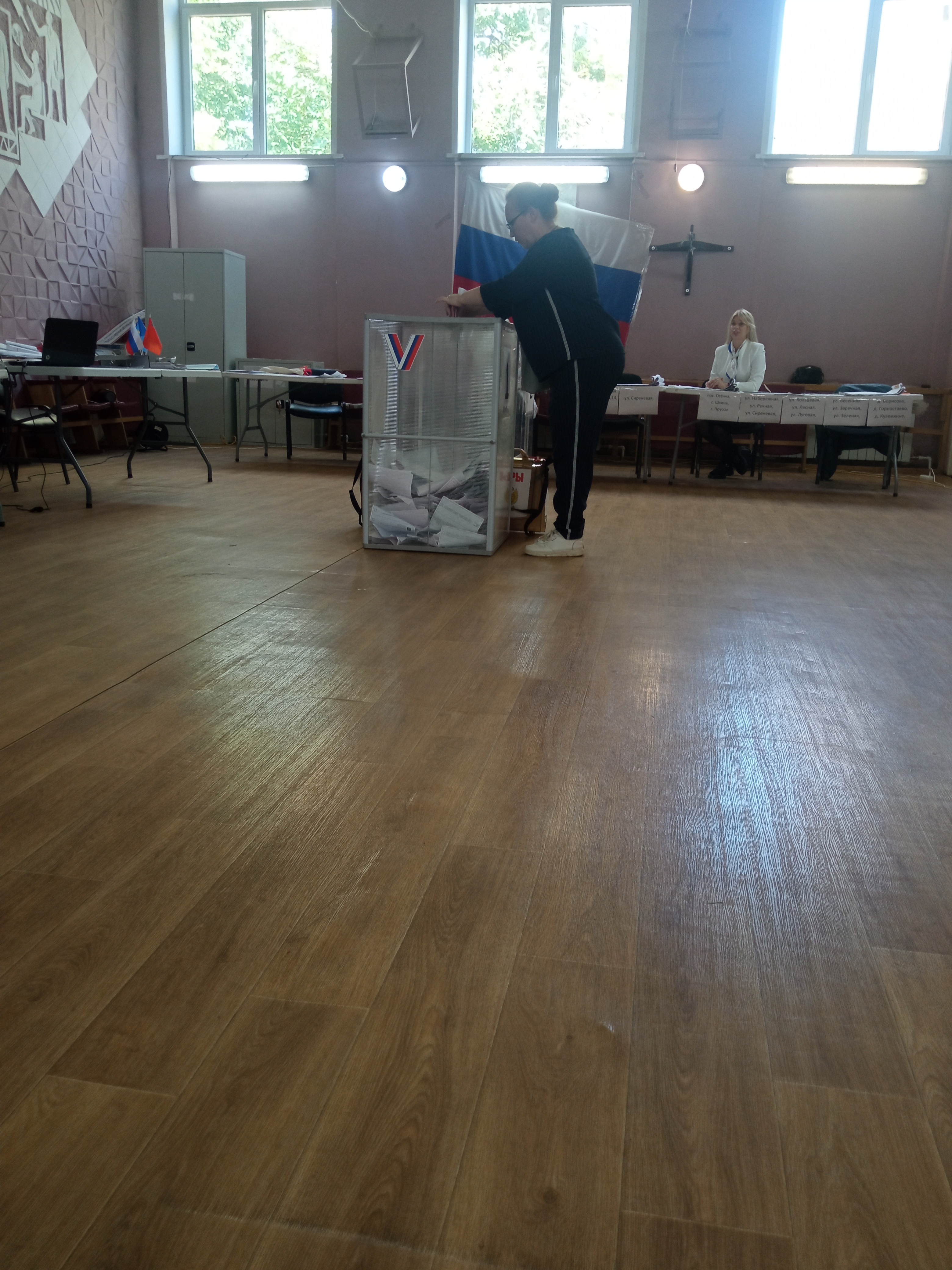 Сообщение — УИК №952, Московская область