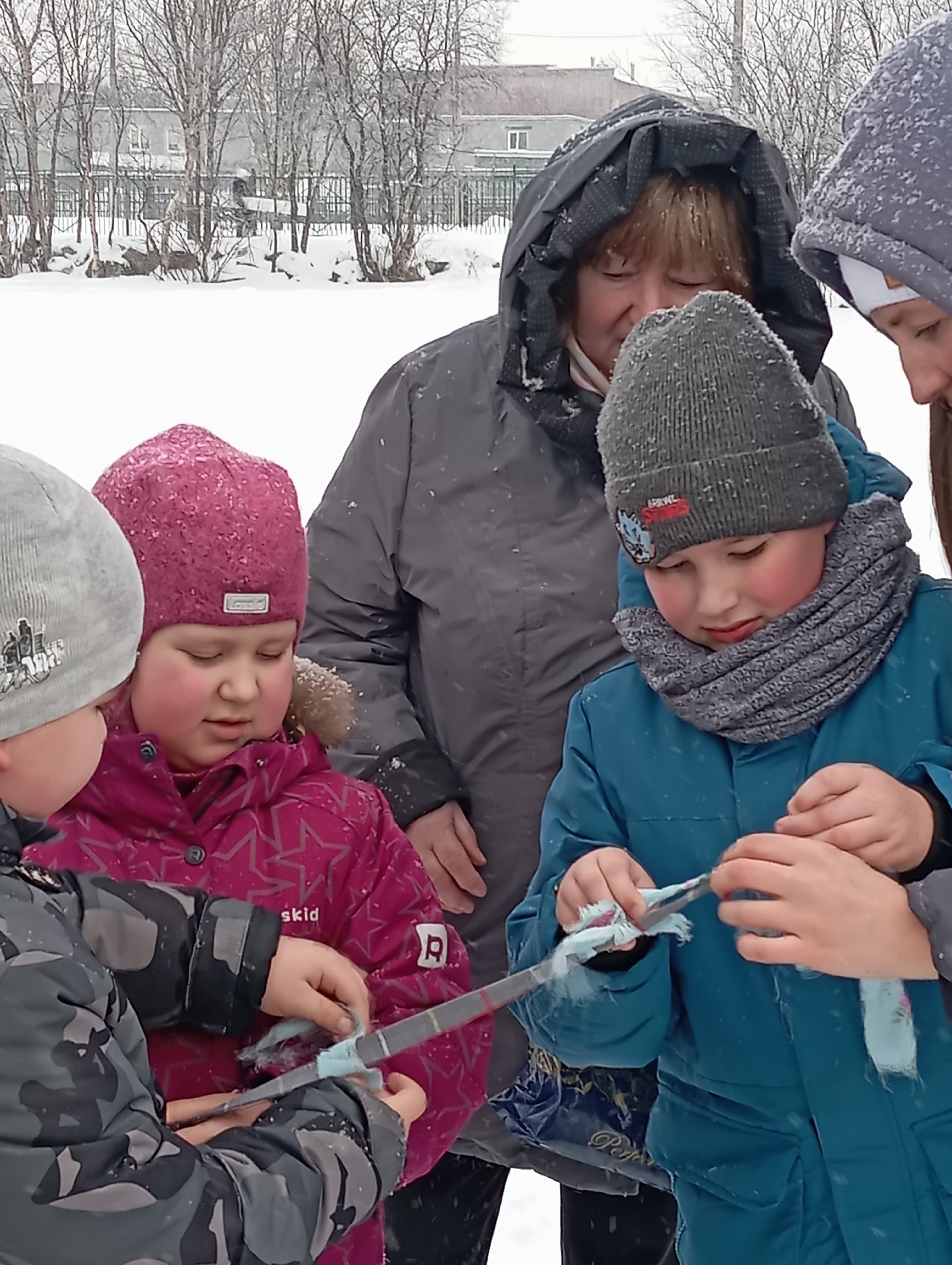 Сообщение наблюдателя — УИК №127, Мурманская область