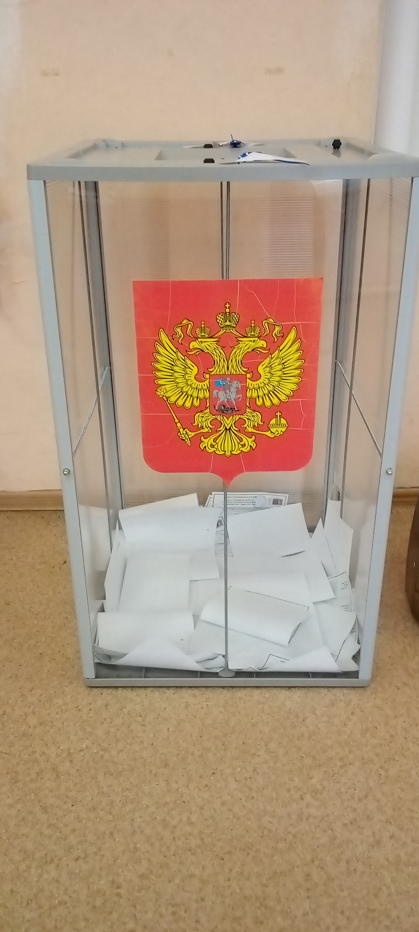 Сообщение наблюдателя — УИК №113, Ленинградская область