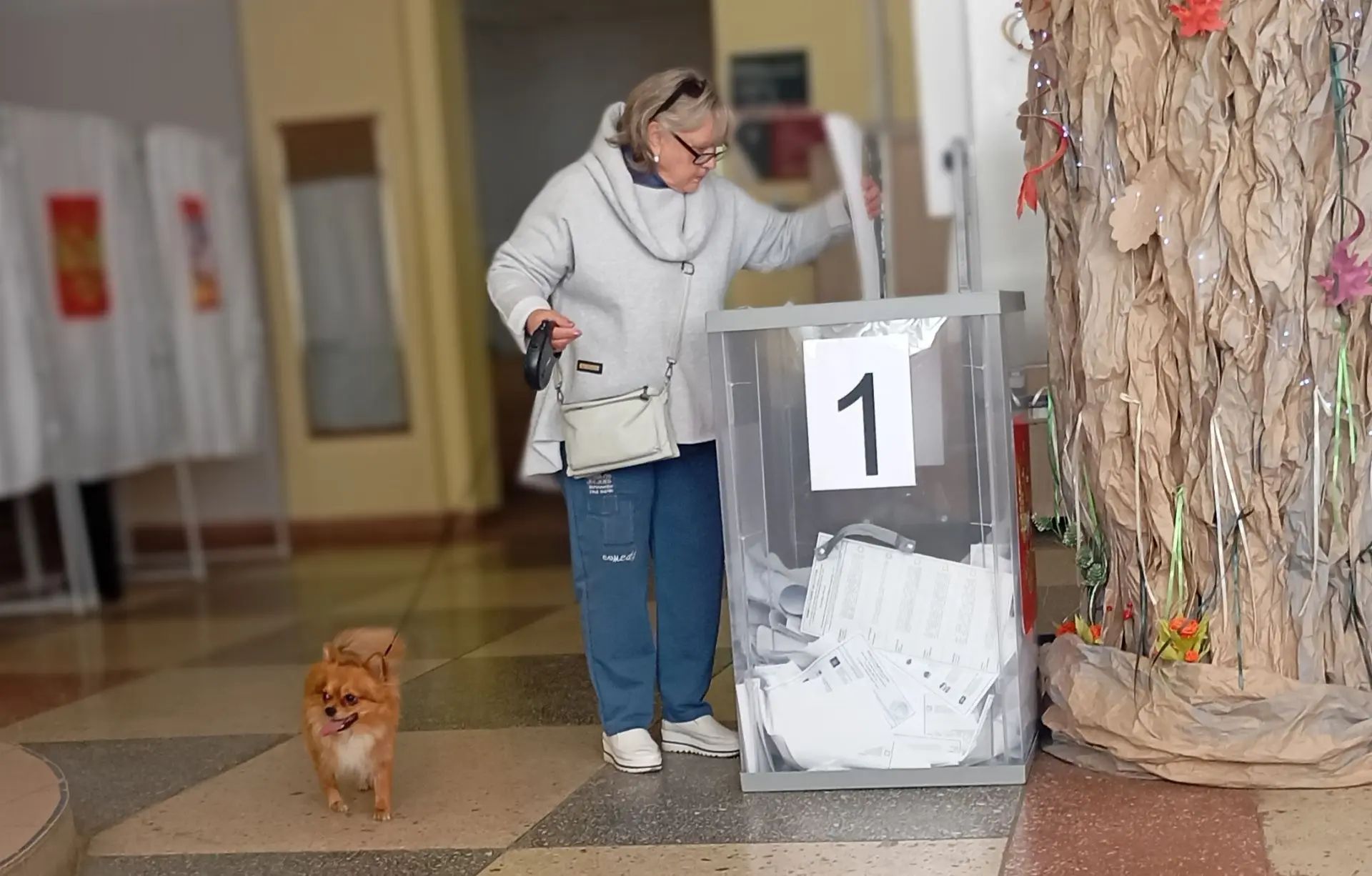 Сообщение — УИК №3123, Московская область