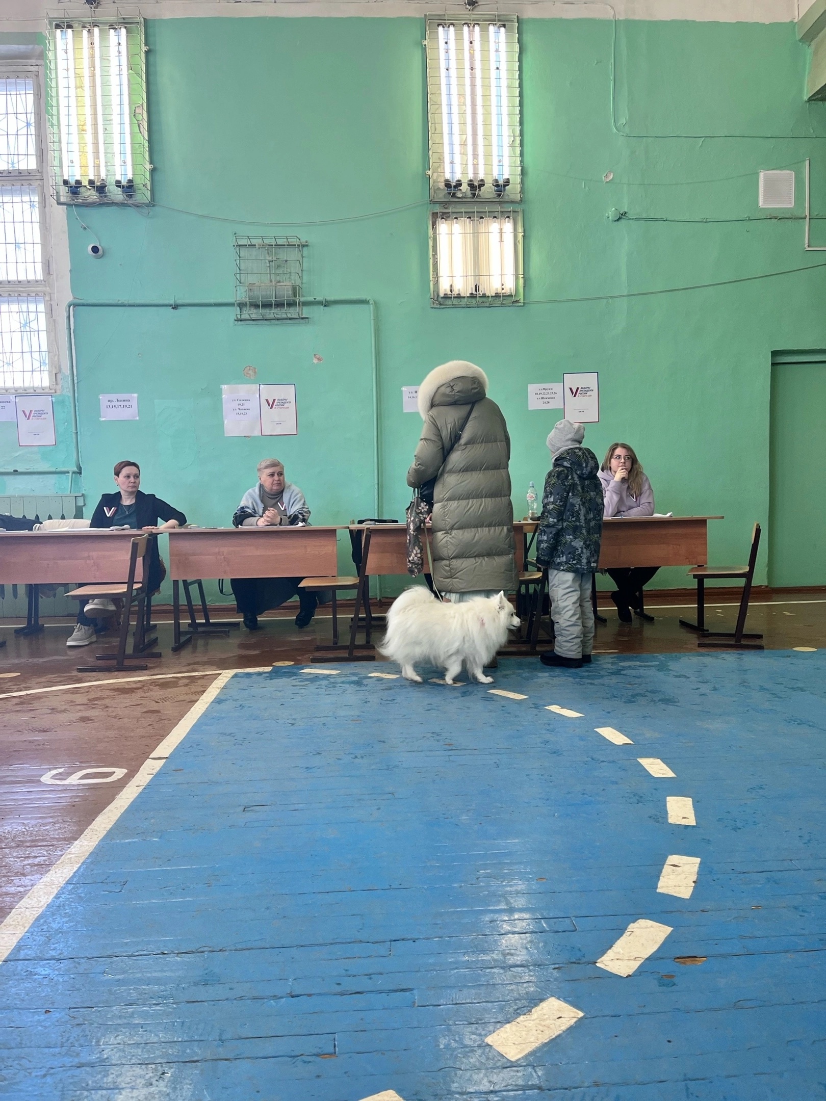 Сообщение наблюдателя — УИК №1684, Нижегородская область