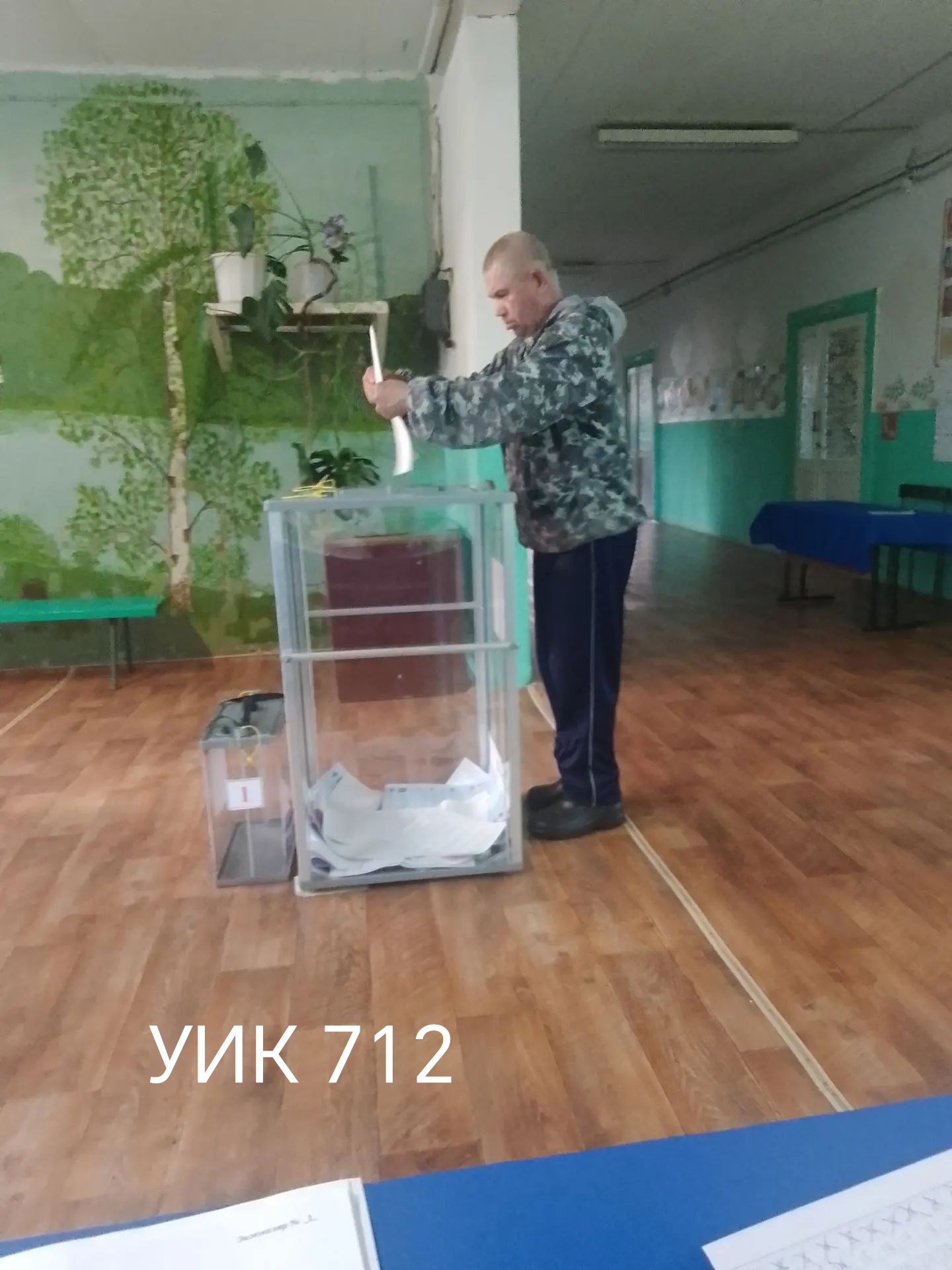Сообщение — УИК №712, Кировская область