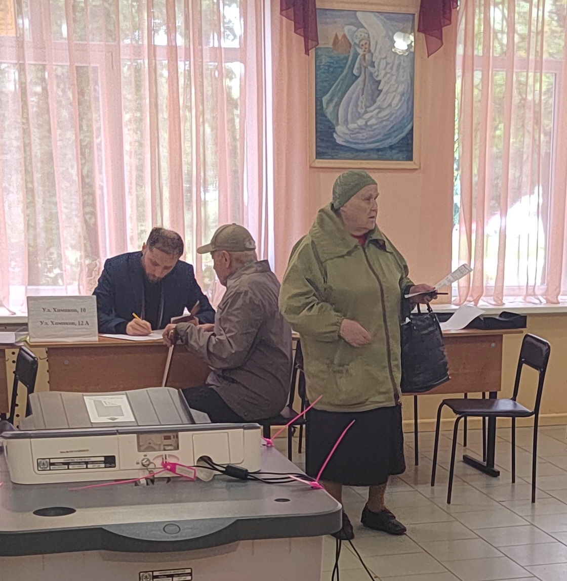 Сообщение наблюдателя — УИК №1132, Новгородская область