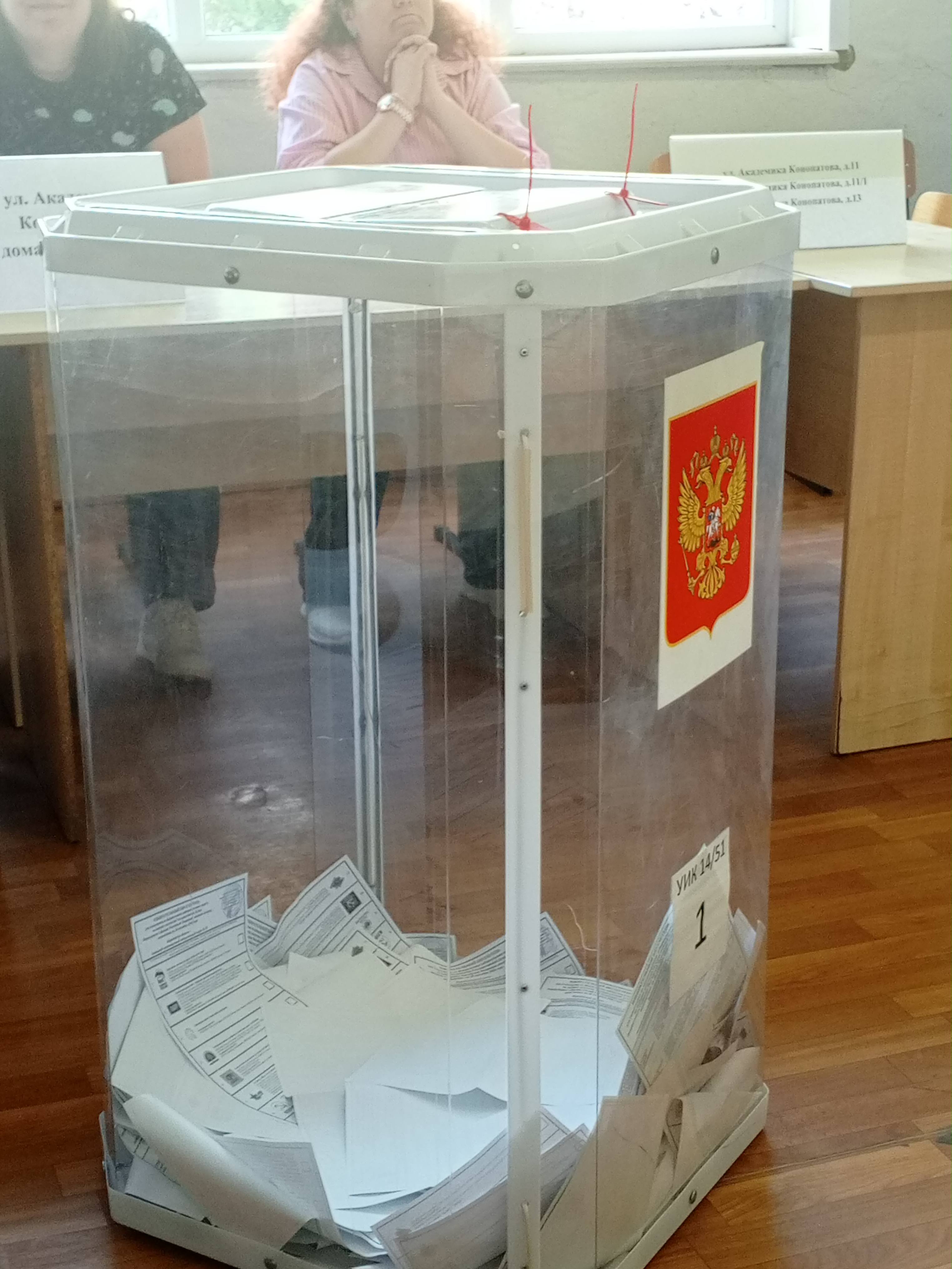 Сообщение — УИК №1451, Воронежская область
