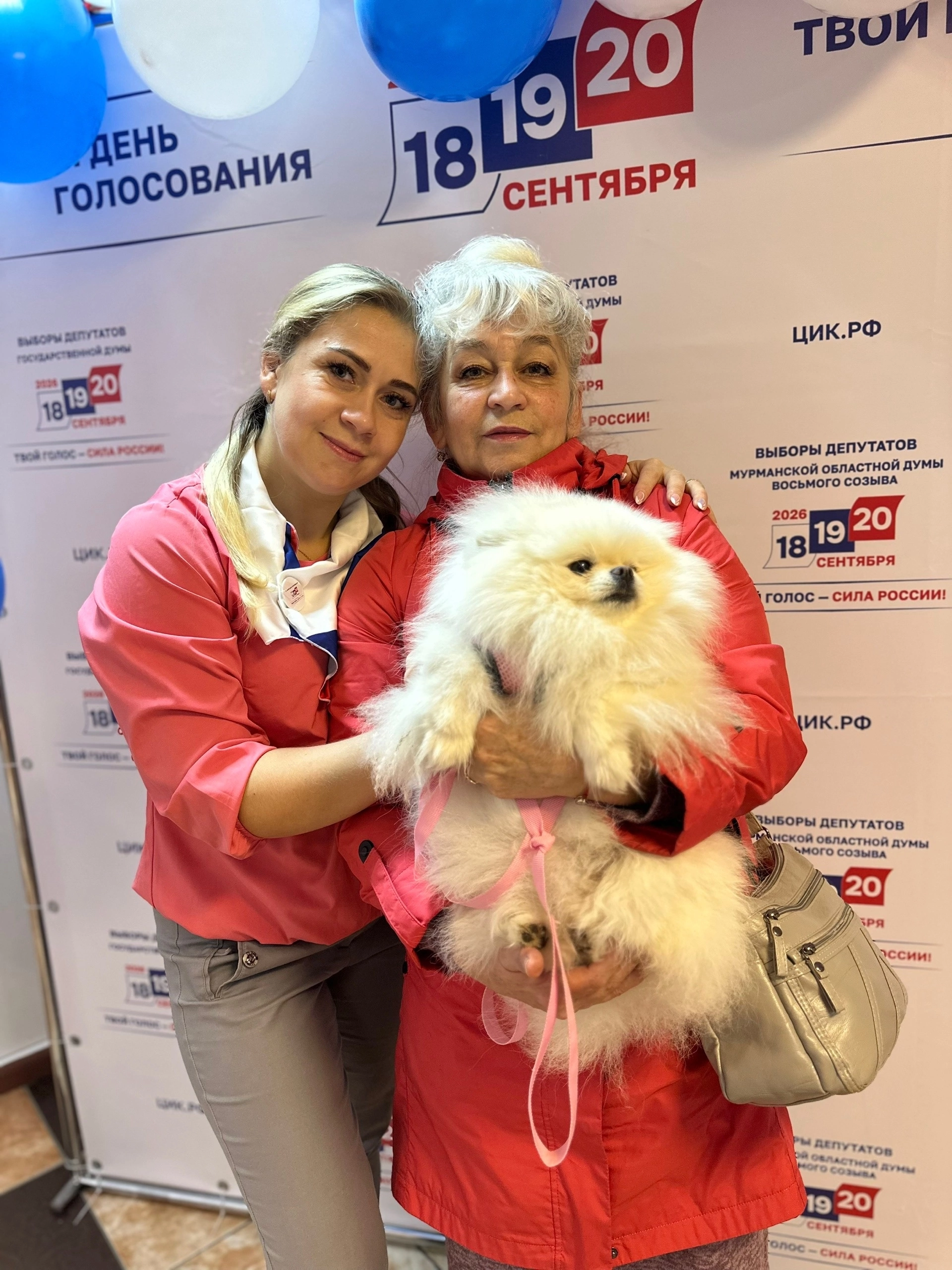 Сообщение — УИК №231, Мурманская область