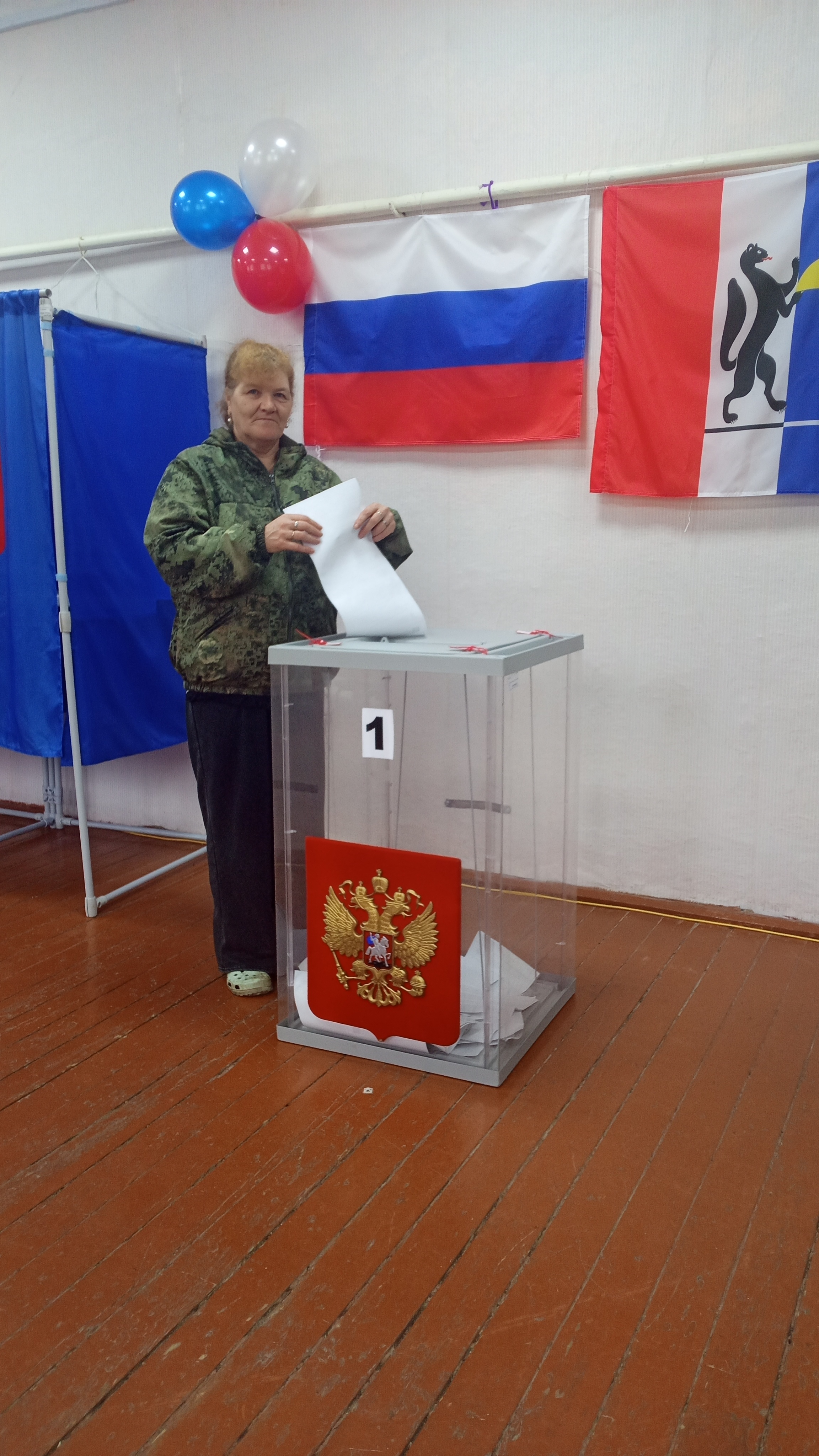Сообщение — УИК №733, Новосибирская область