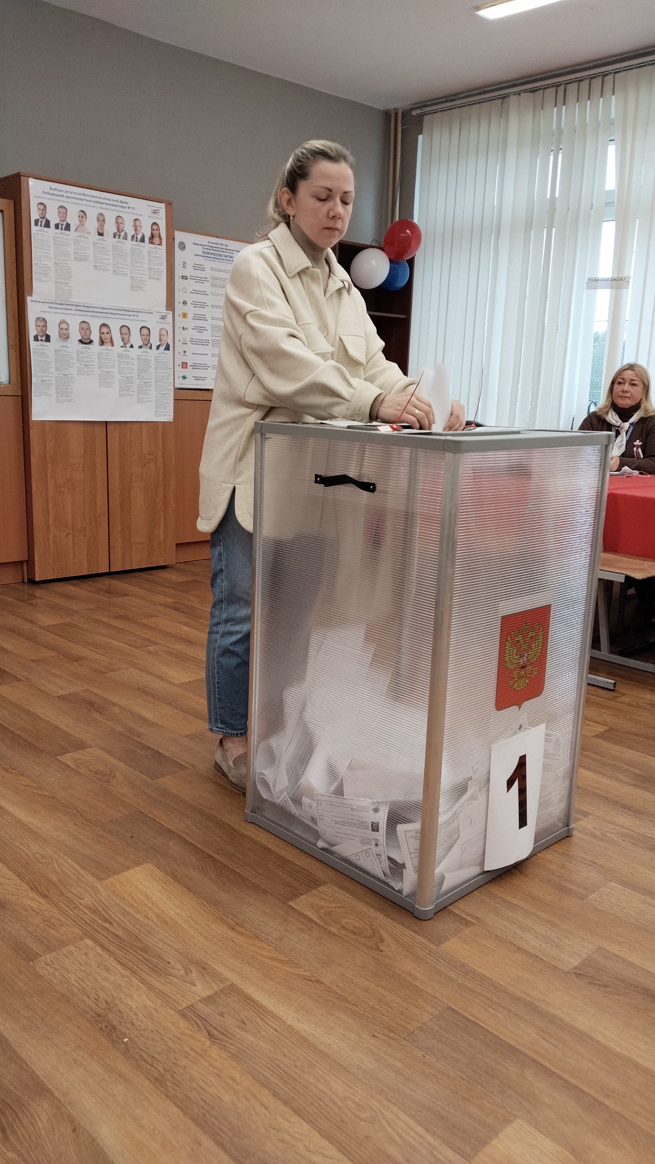Сообщение — УИК №3845, Московская область