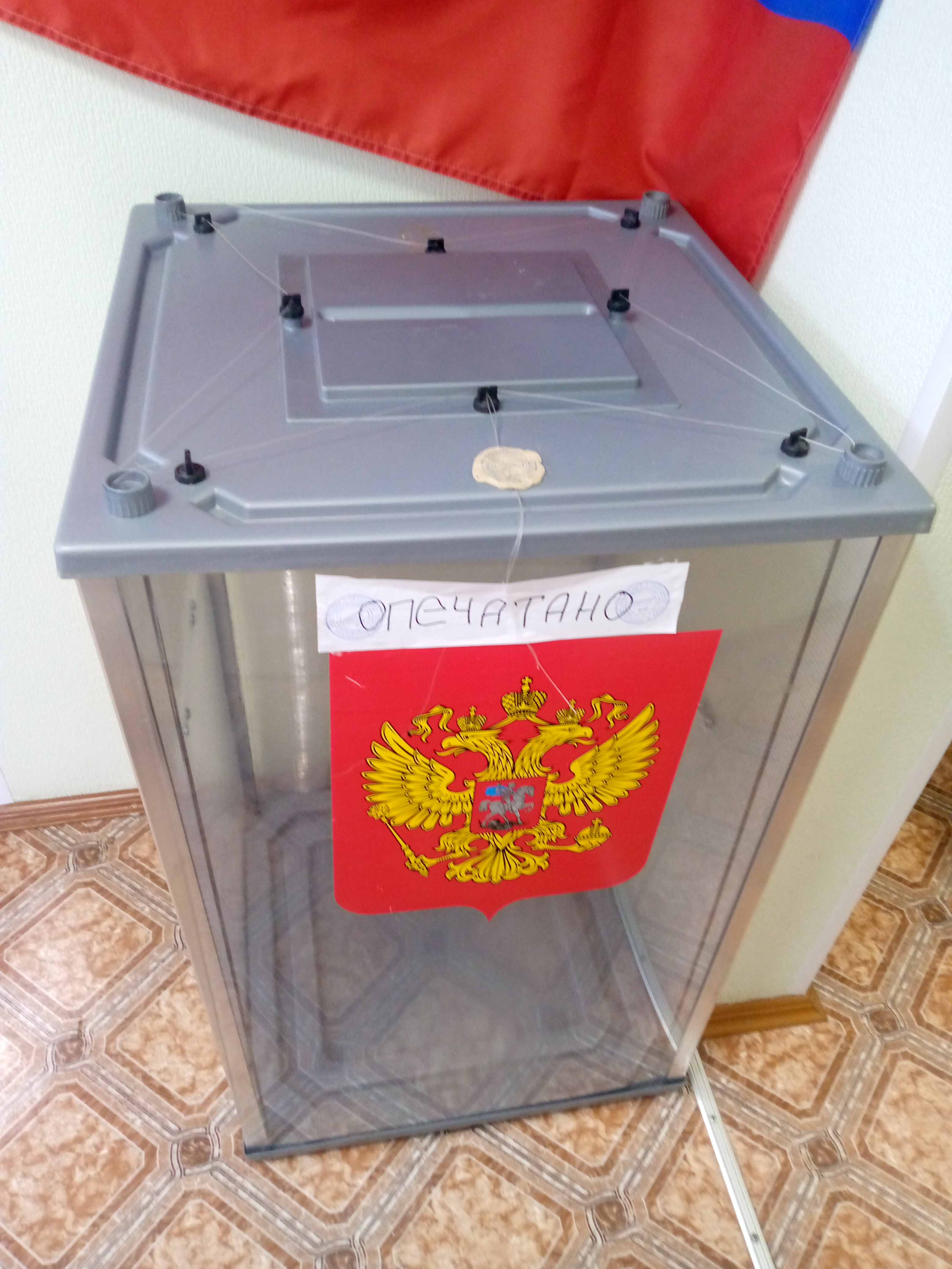 Сообщение наблюдателя — УИК №19, Республика Коми