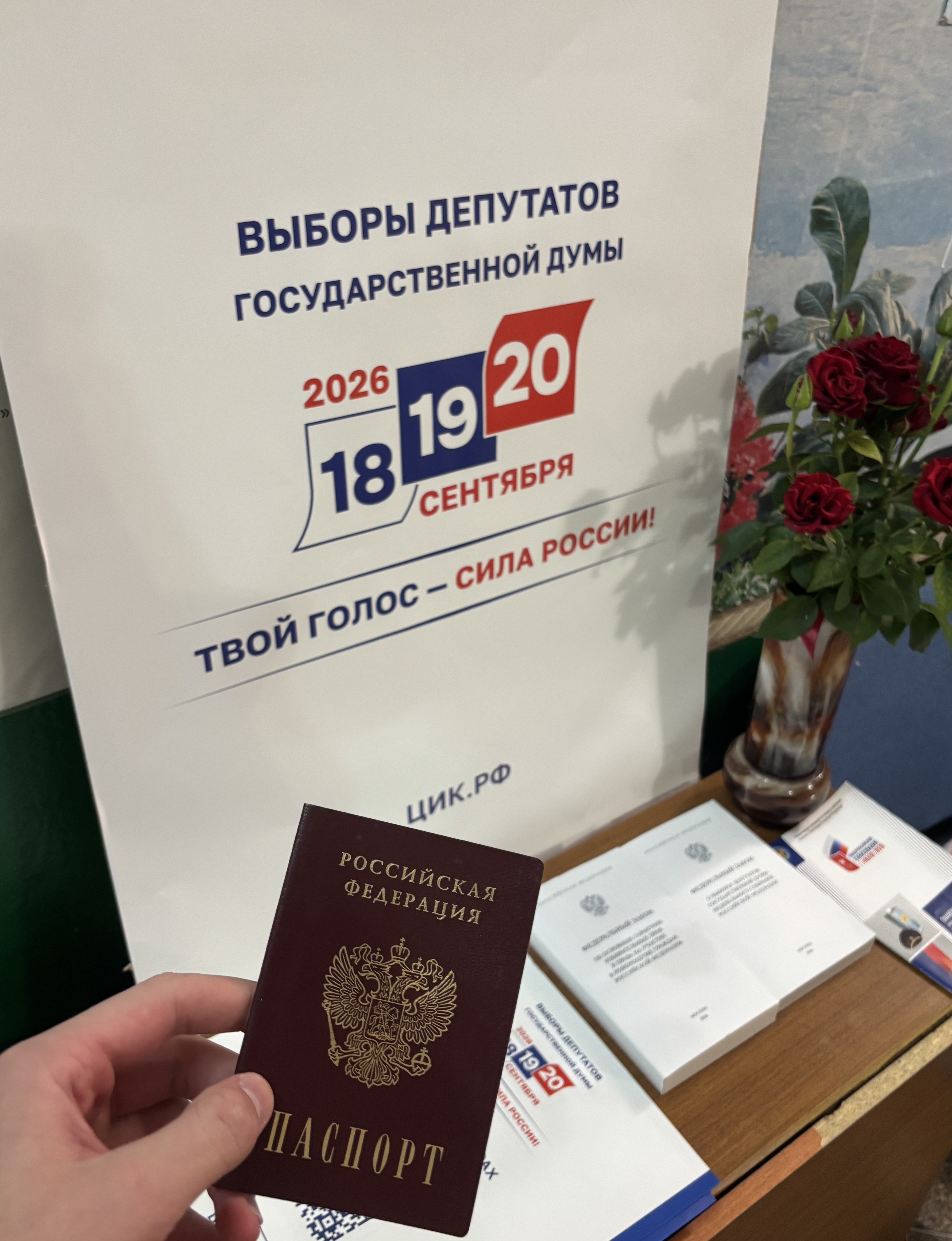 Сообщение — УИК №311, Воронежская область