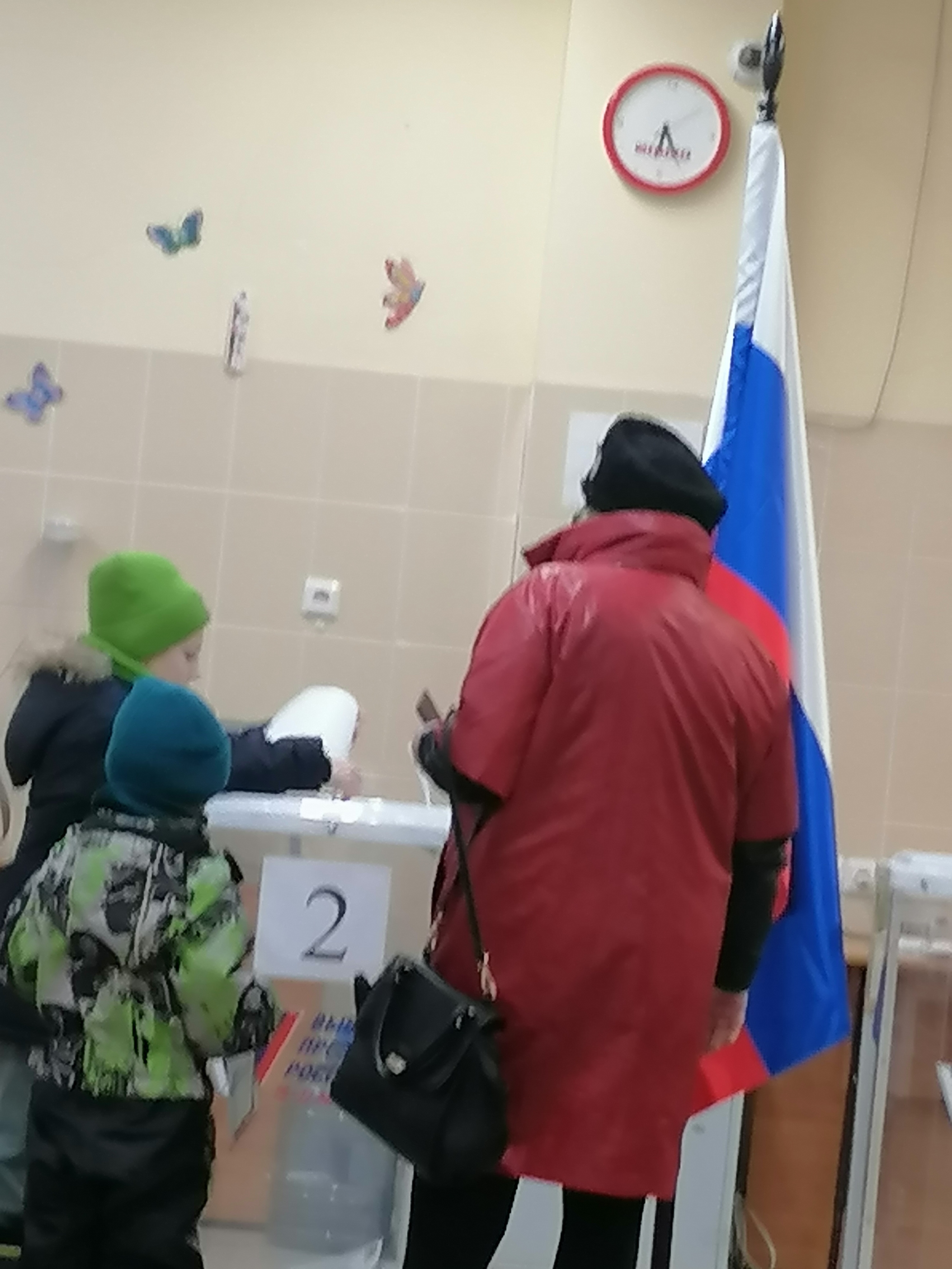 Сообщение наблюдателя — УИК №658, Московская область