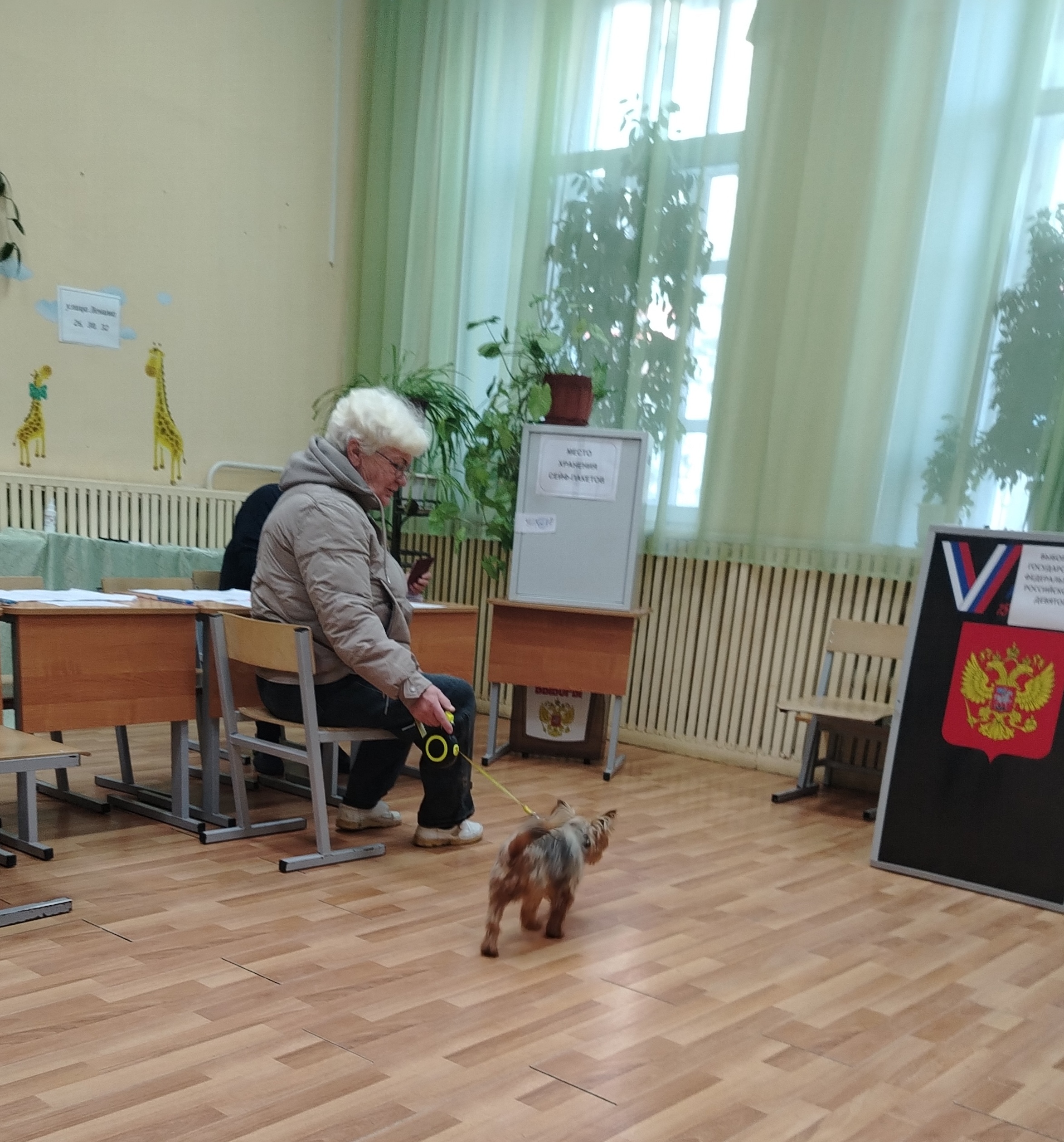 Сообщение — УИК №18, Владимирская область