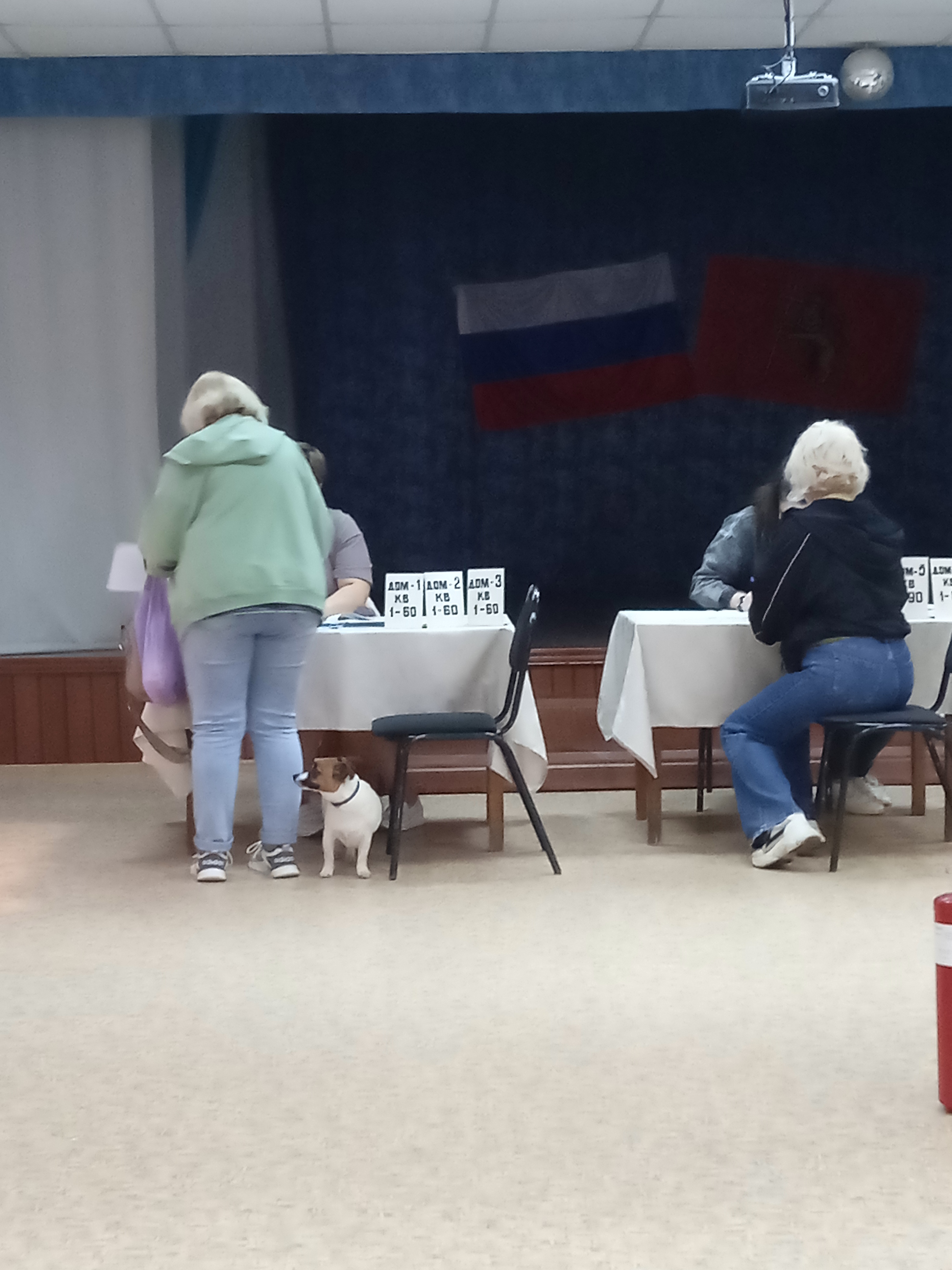 Сообщение наблюдателя — УИК №491, Владимирская область