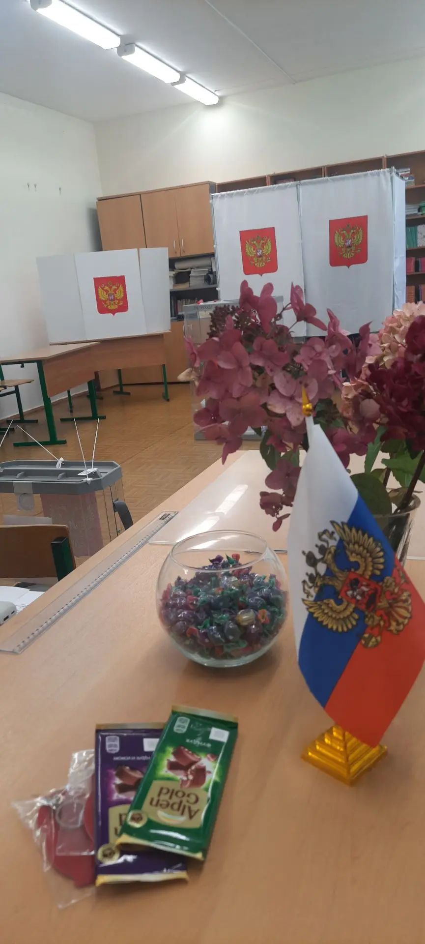 Сообщение — УИК №4033, Московская область