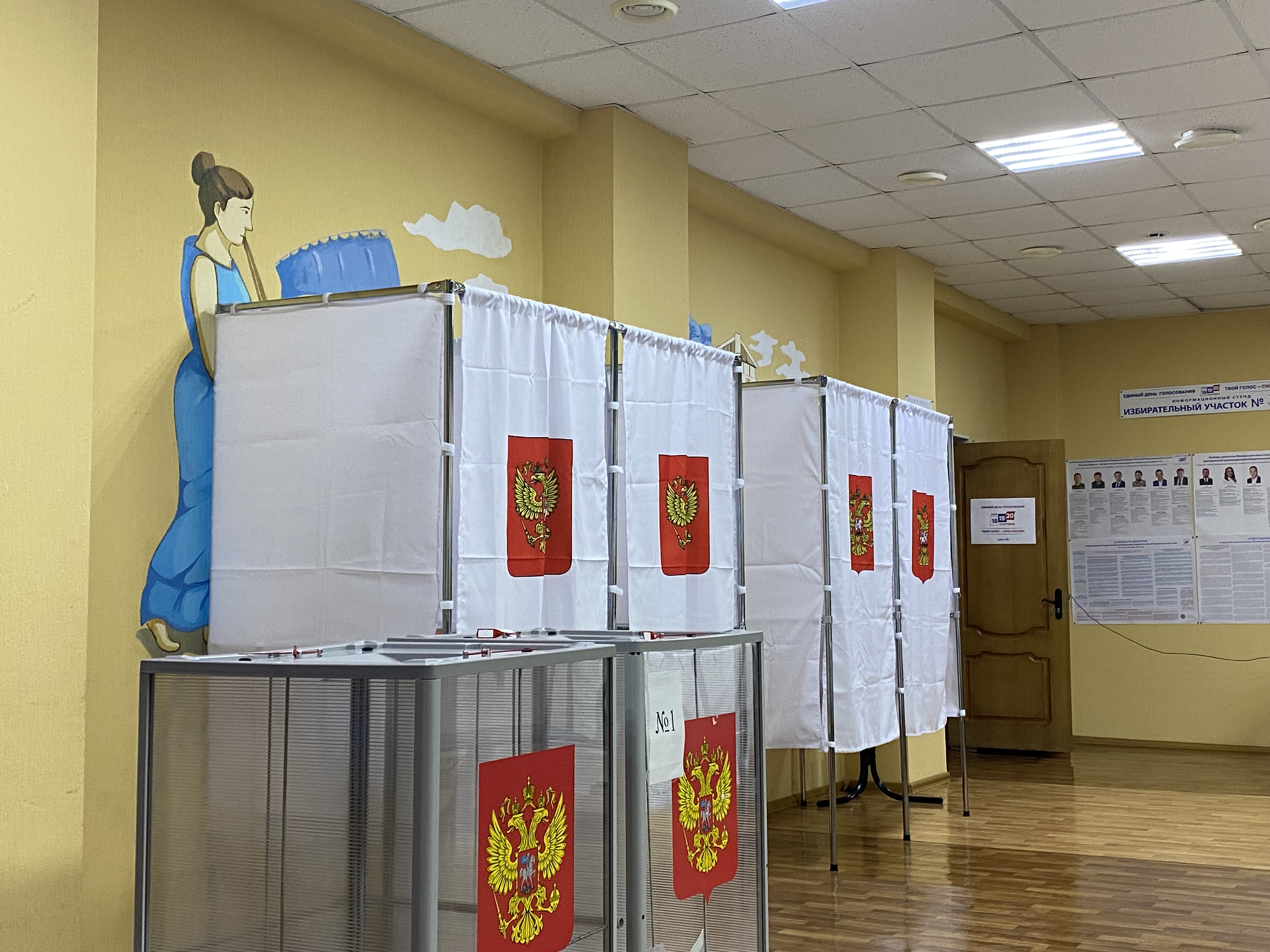 Сообщение — УИК №3091, Московская область