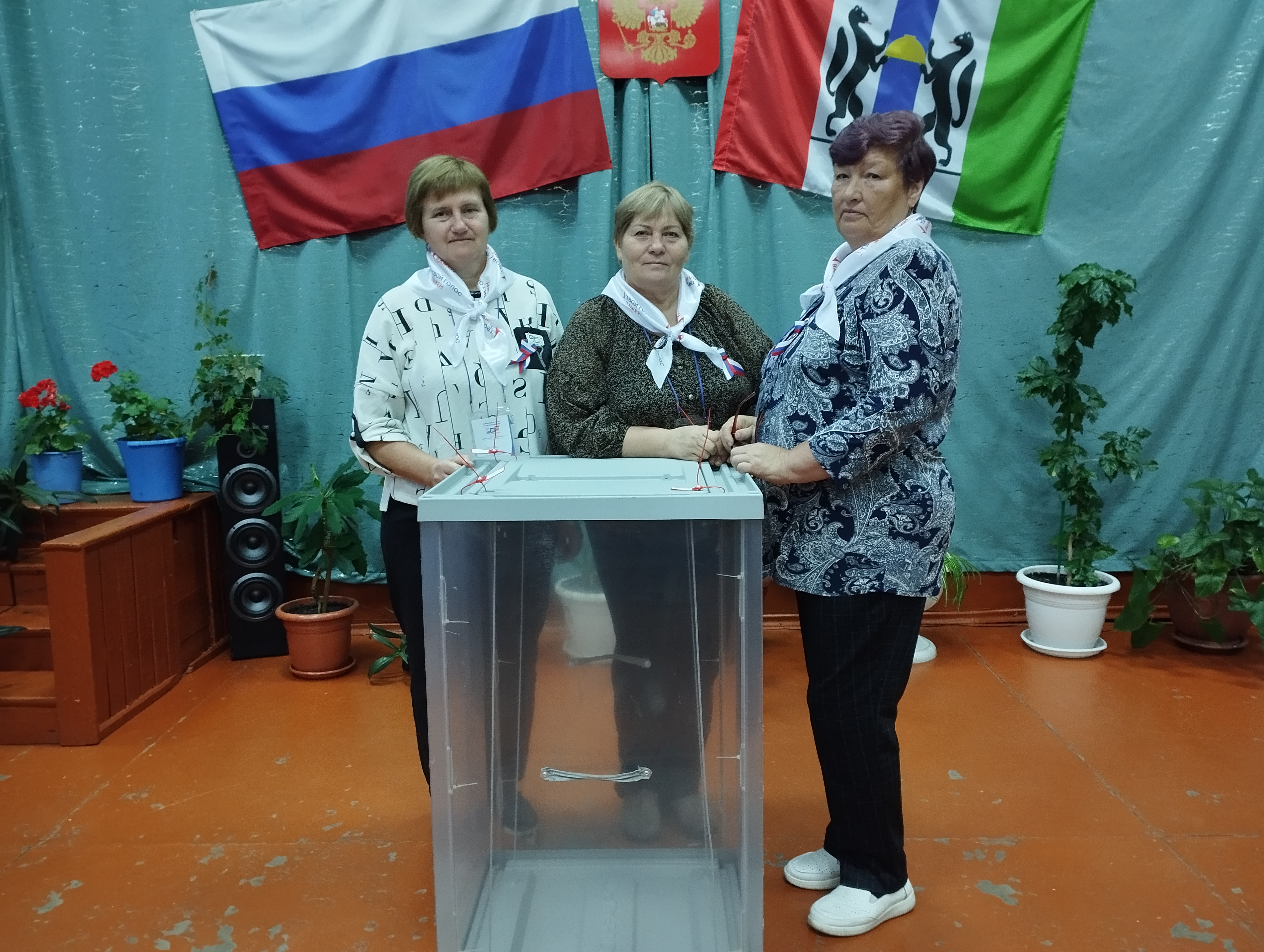 Сообщение — УИК №907, Новосибирская область