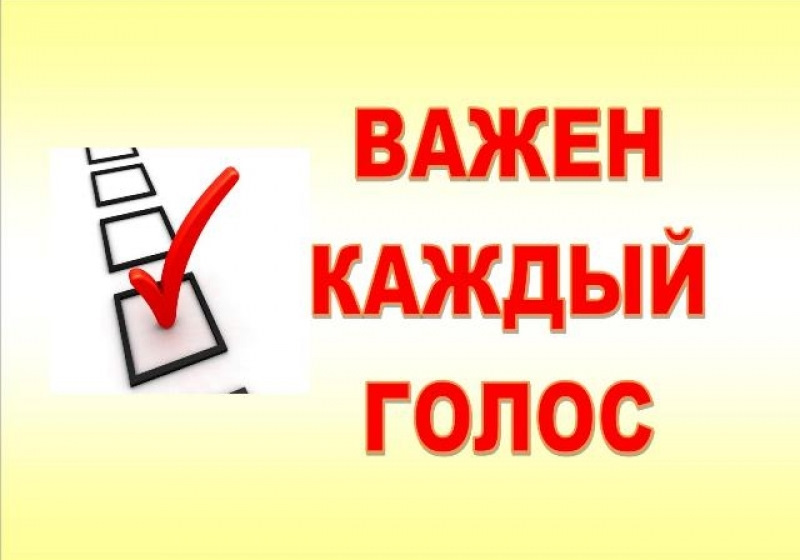 Сообщение наблюдателя — УИК №1193, Новосибирская область