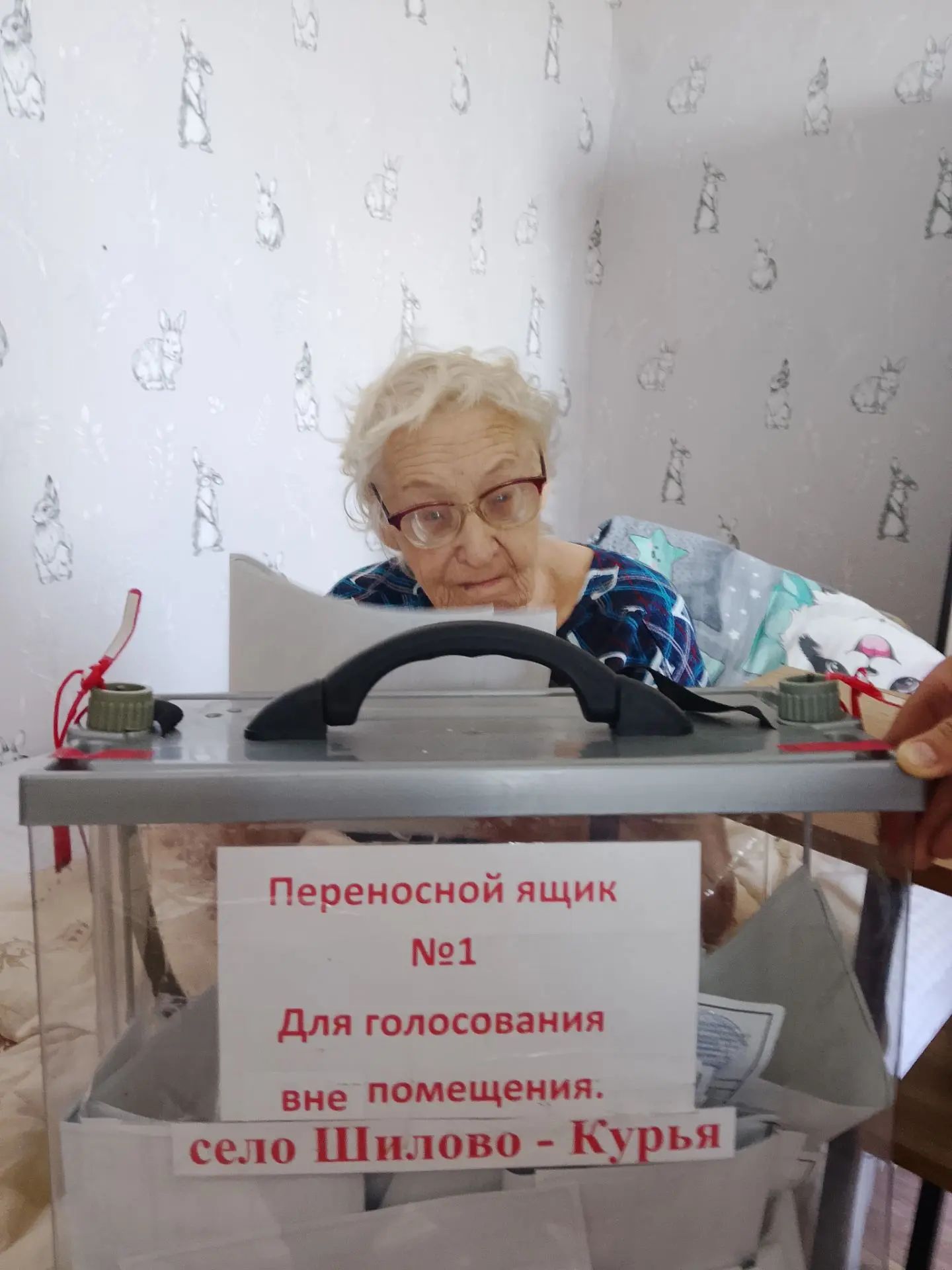 Сообщение — УИК №342, Новосибирская область