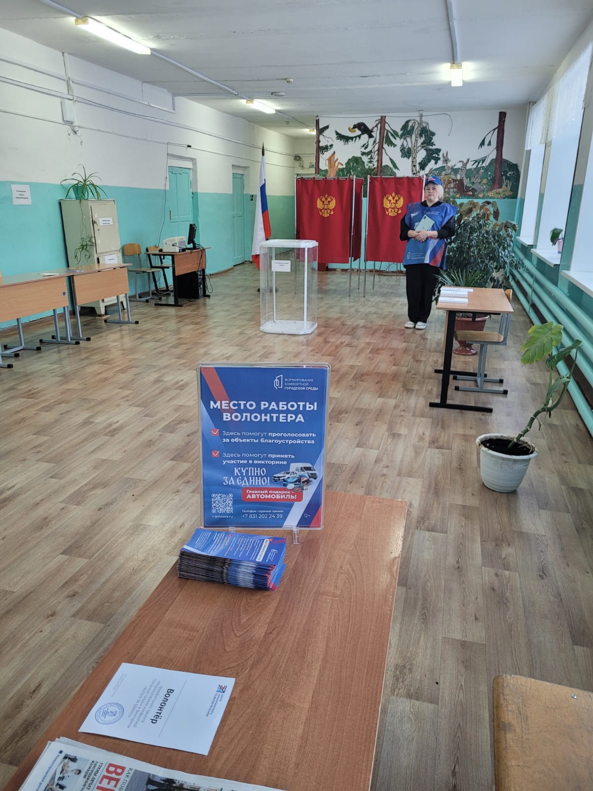 Сообщение наблюдателя — УИК №738, Нижегородская область