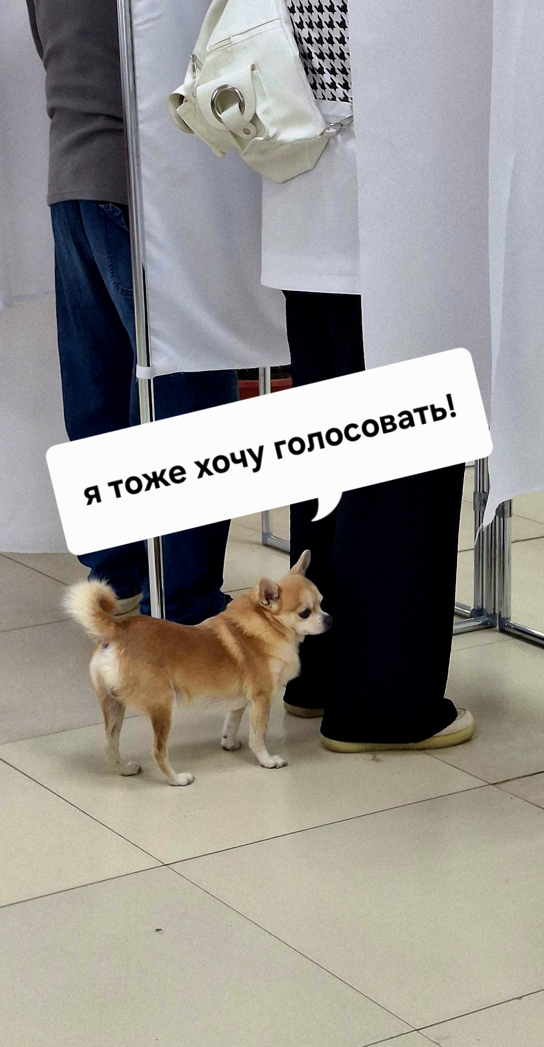 Сообщение — УИК №889, Архангельская область