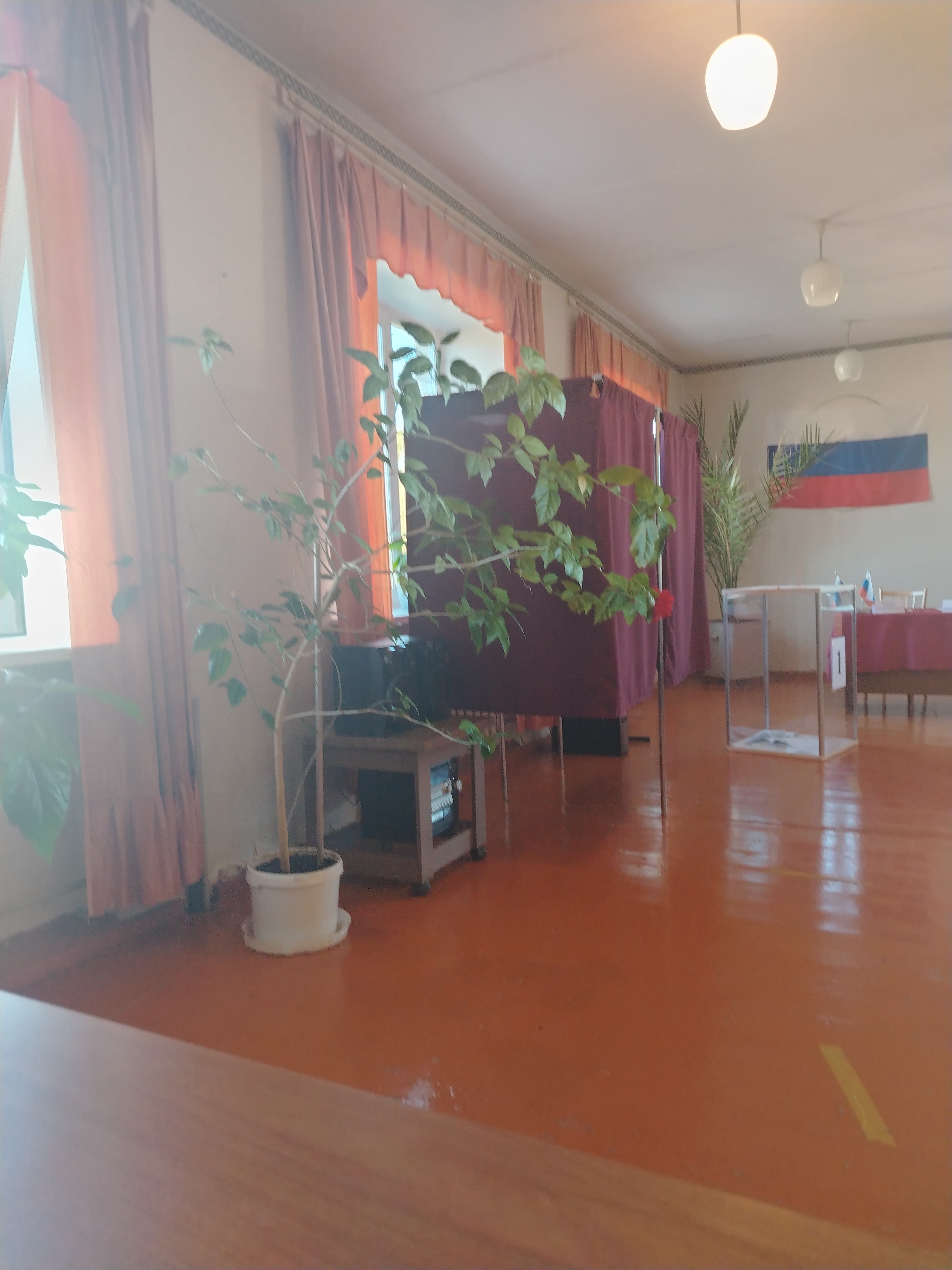 Сообщение наблюдателя — УИК №950, Нижегородская область