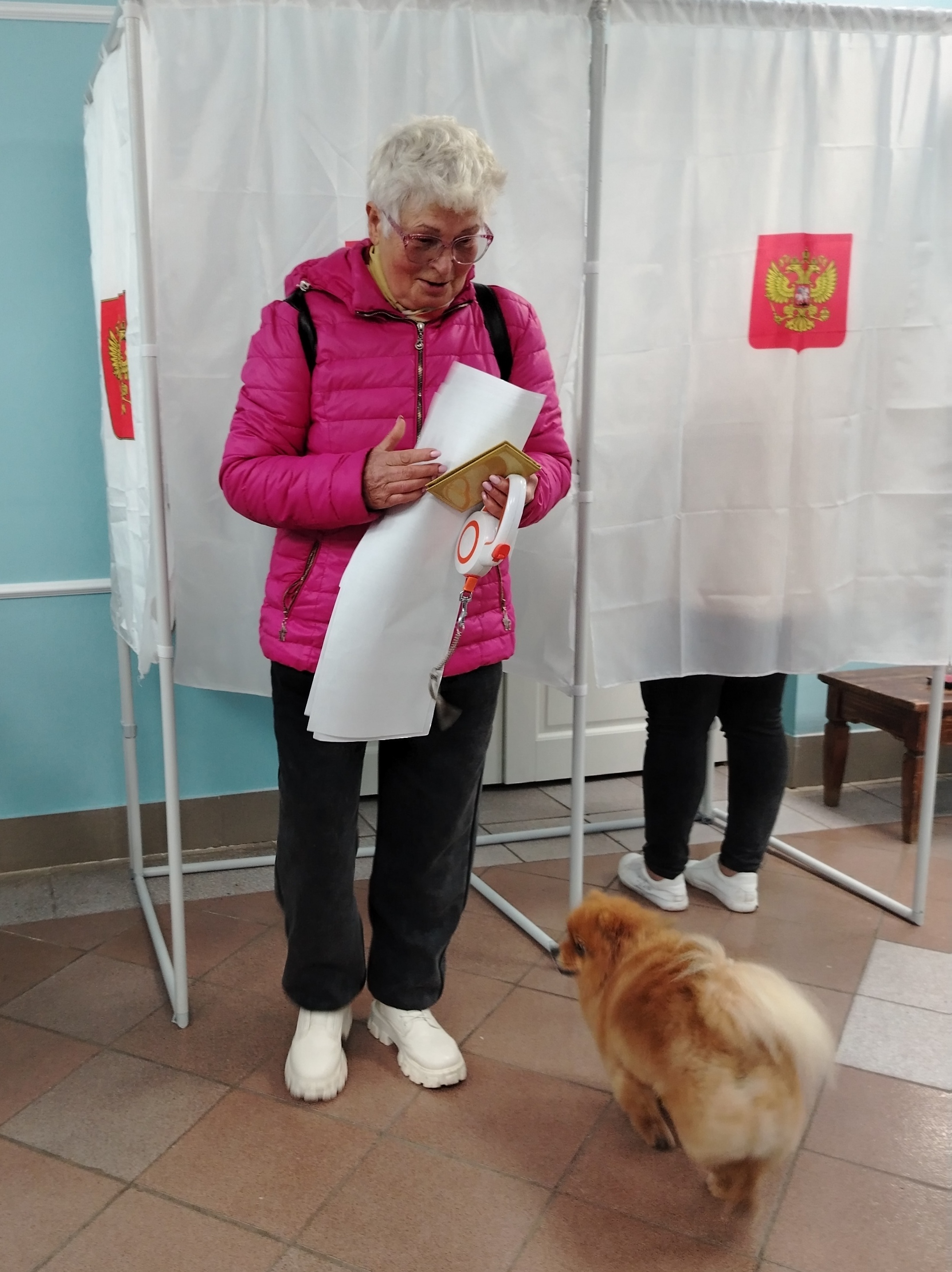 Сообщение — УИК №794, Ленинградская область