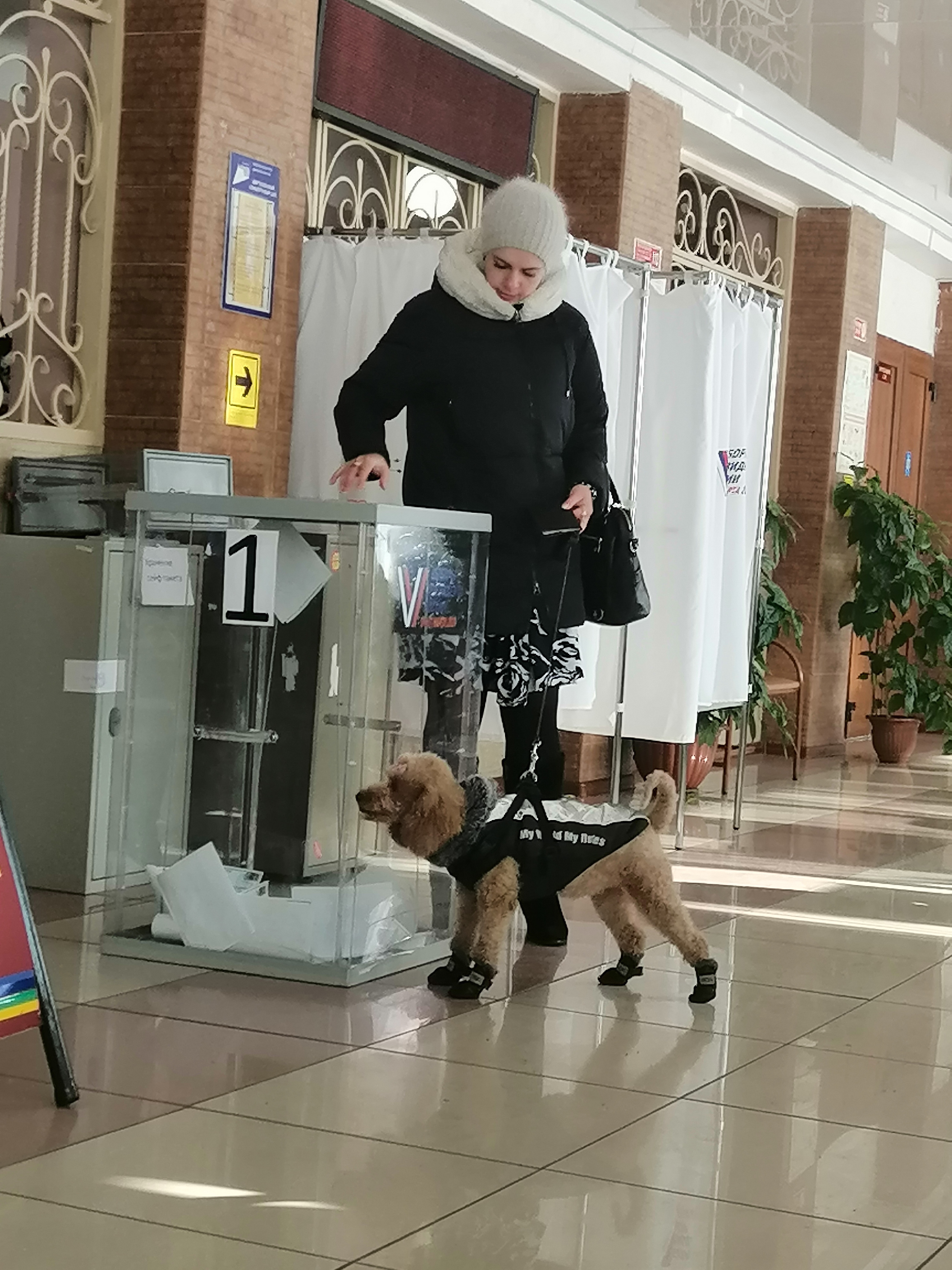 Сообщение наблюдателя — УИК №1374, Иркутская область