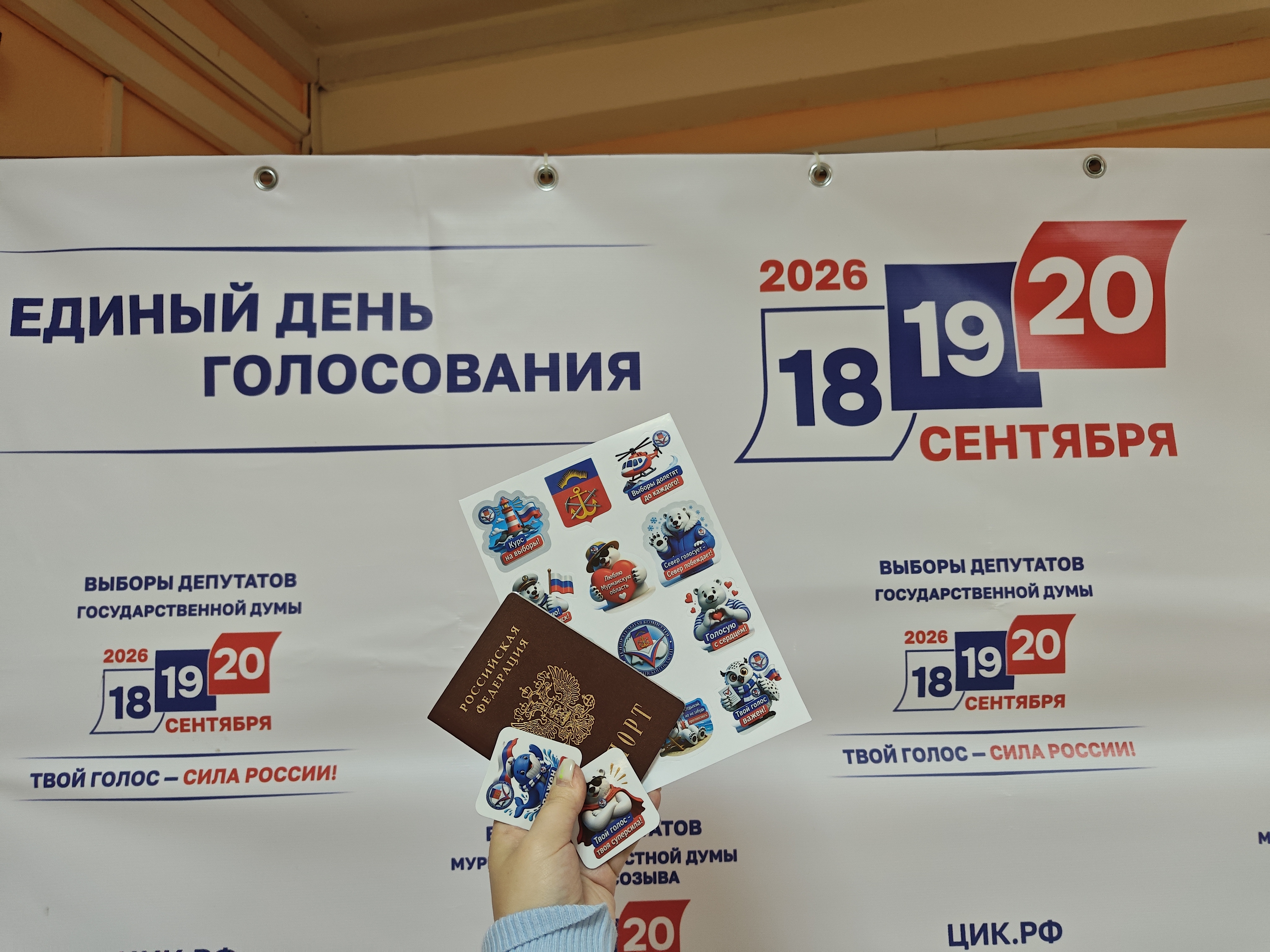 Сообщение — УИК №216, Мурманская область