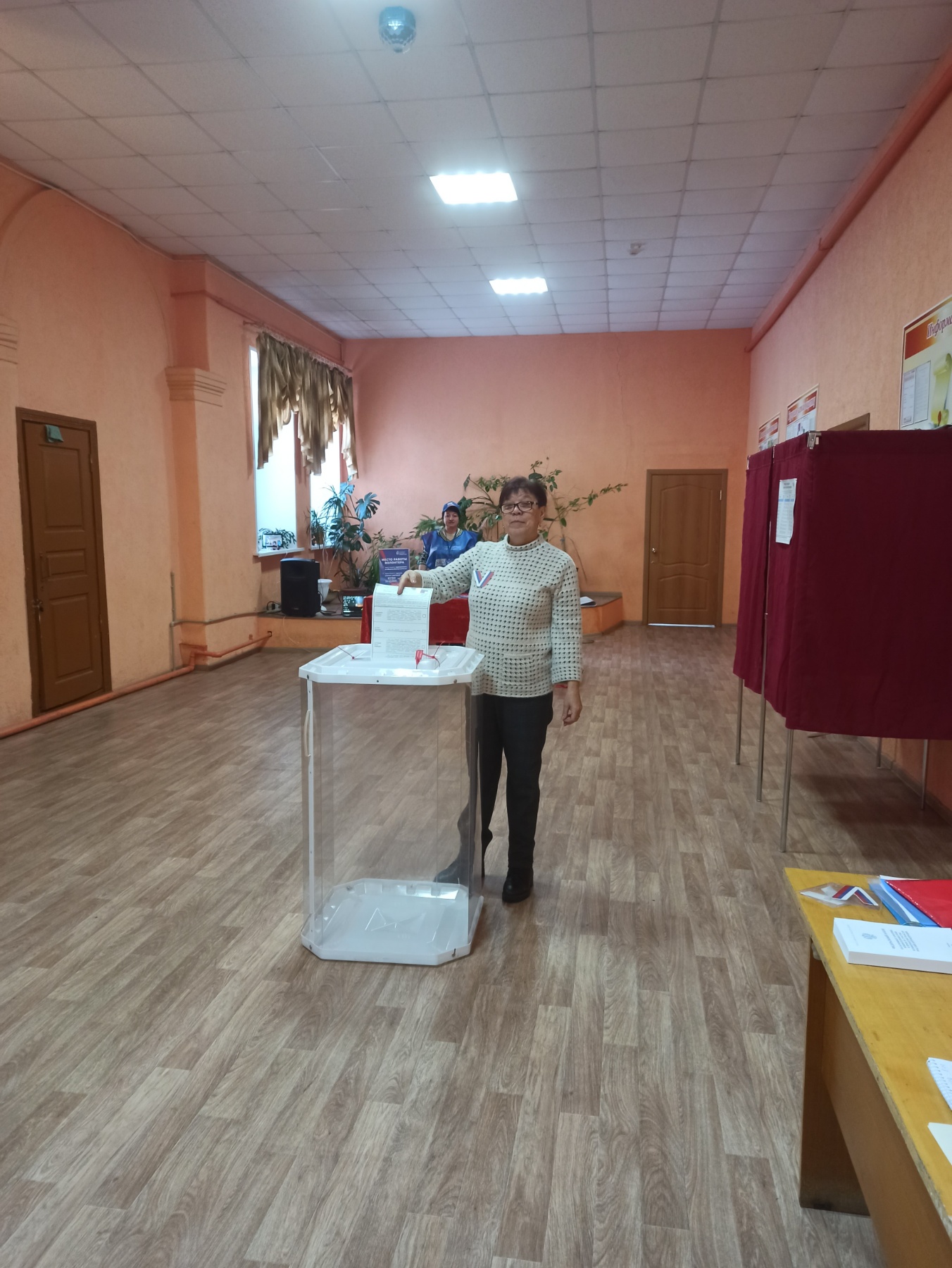 Сообщение наблюдателя — УИК №228, Нижегородская область