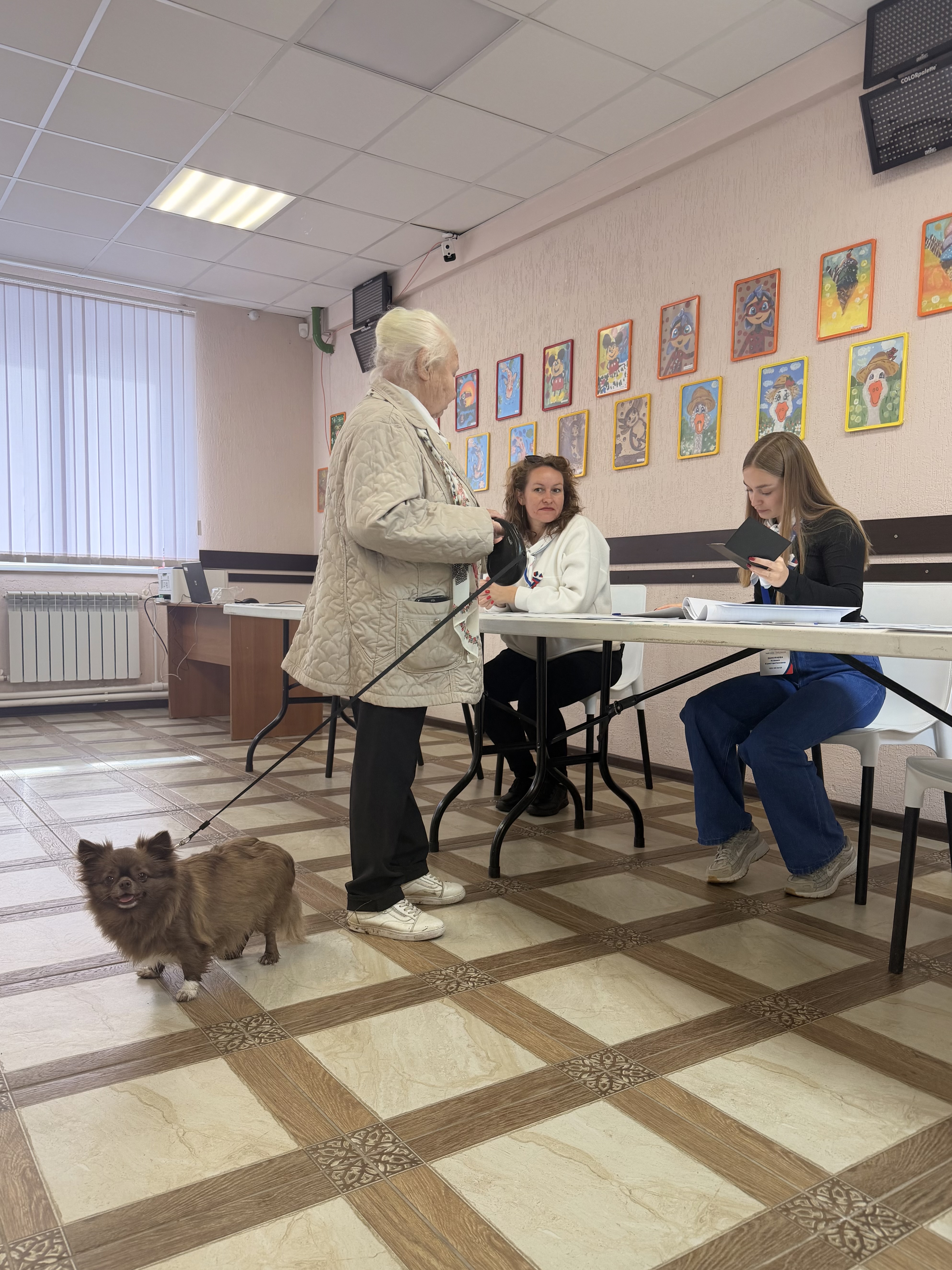 Сообщение — УИК №925, Московская область