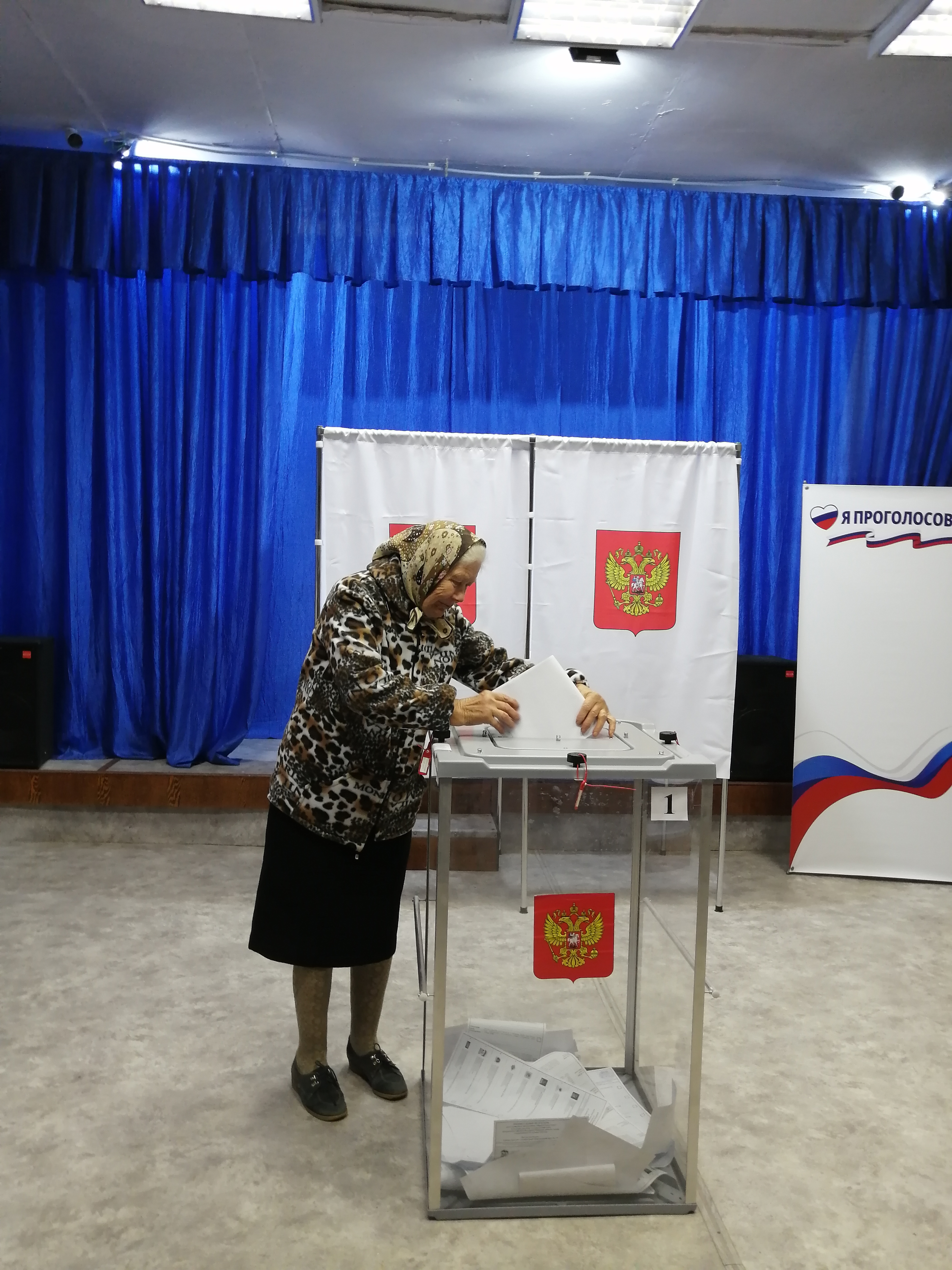 Сообщение — УИК №2219, Московская область