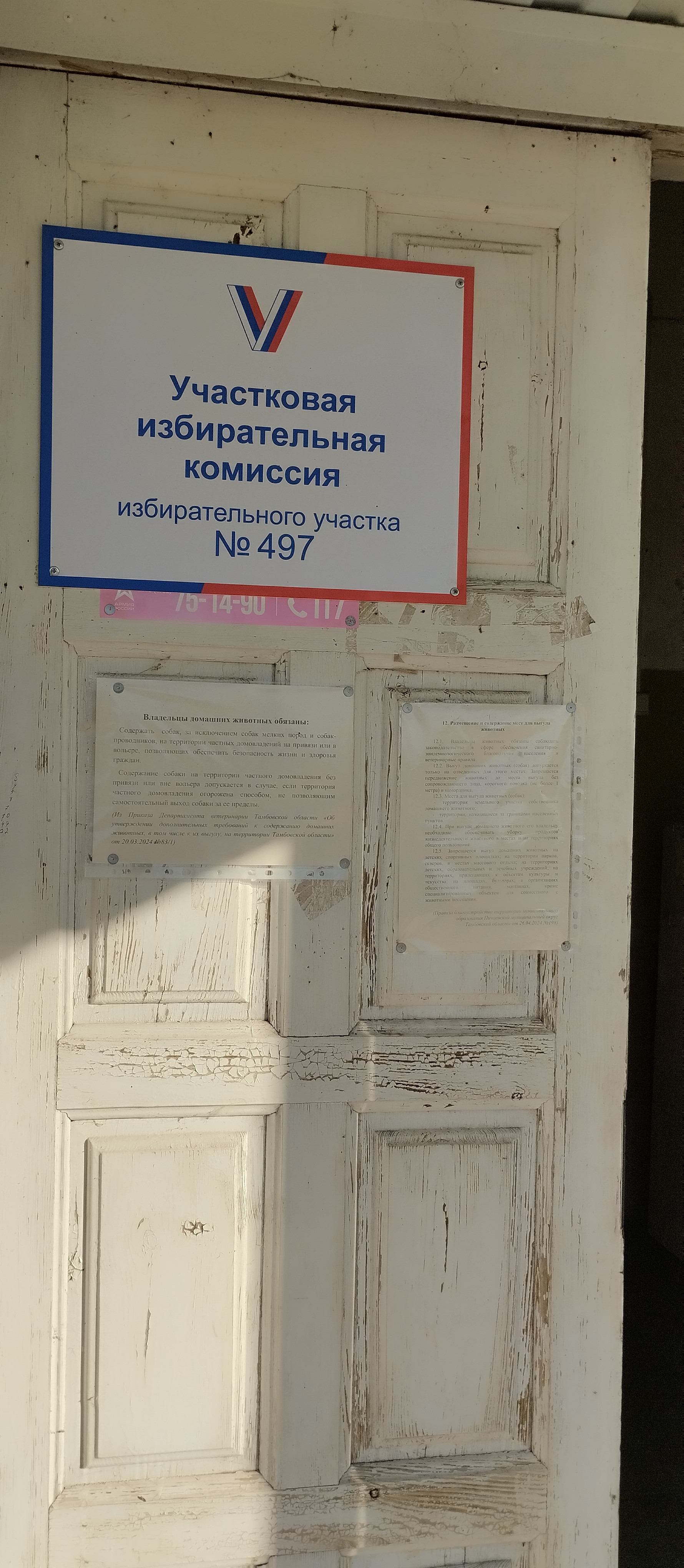 Сообщение наблюдателя — УИК №497, Тамбовская область