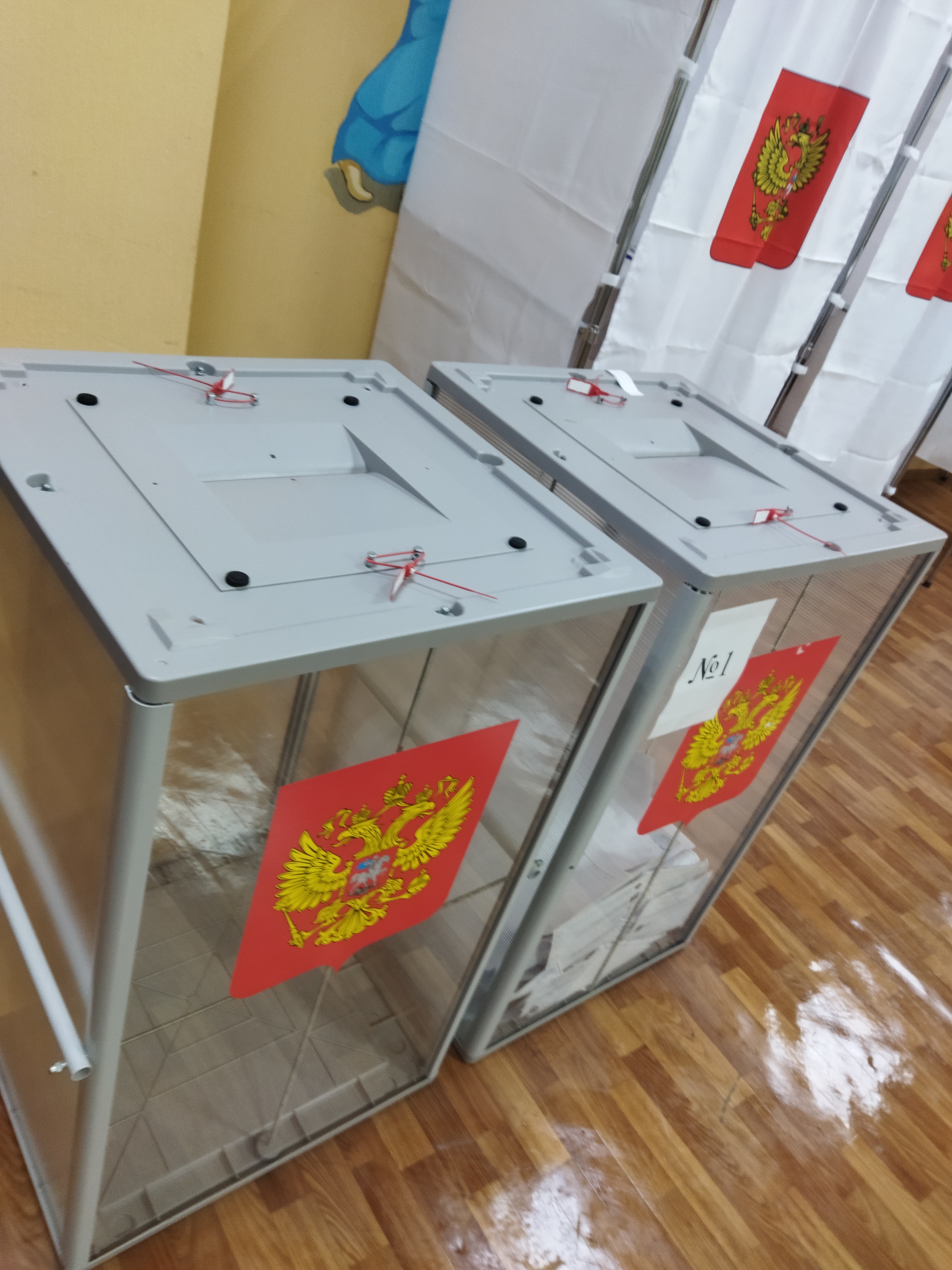 Сообщение — УИК №3091, Московская область
