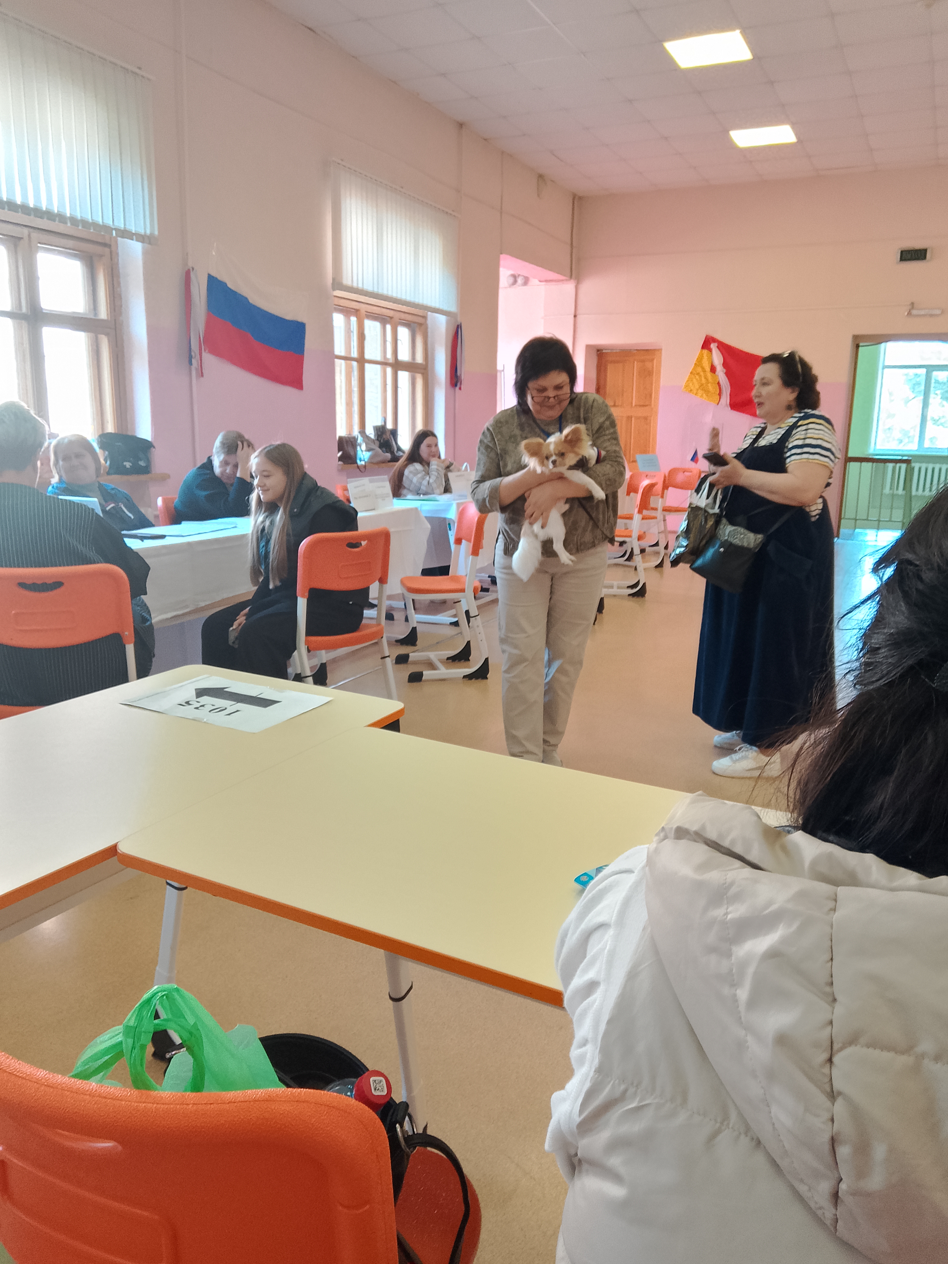 Сообщение — УИК №1034, Воронежская область